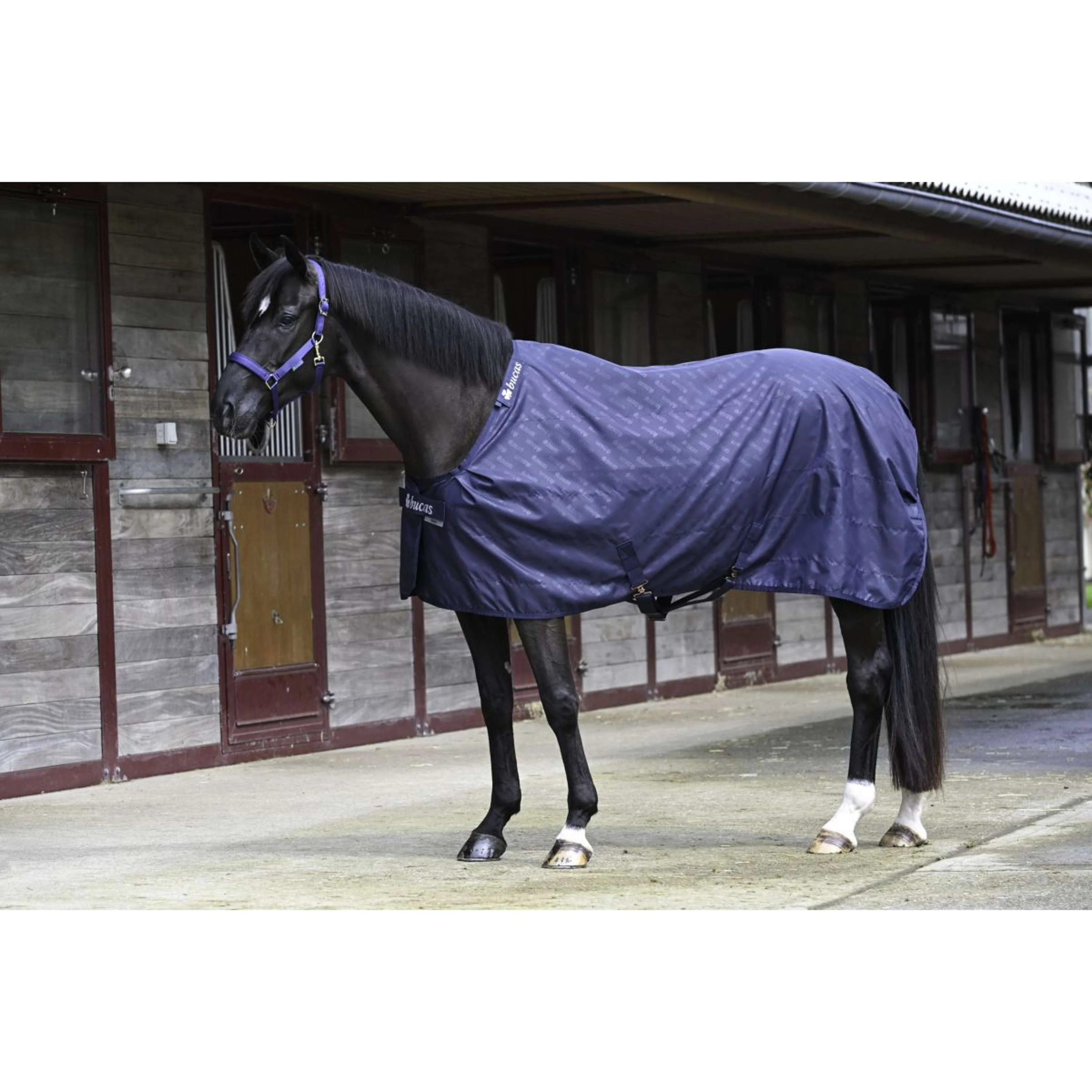 Bucas Stable Sheet 0g Navy/Navy - Image 2