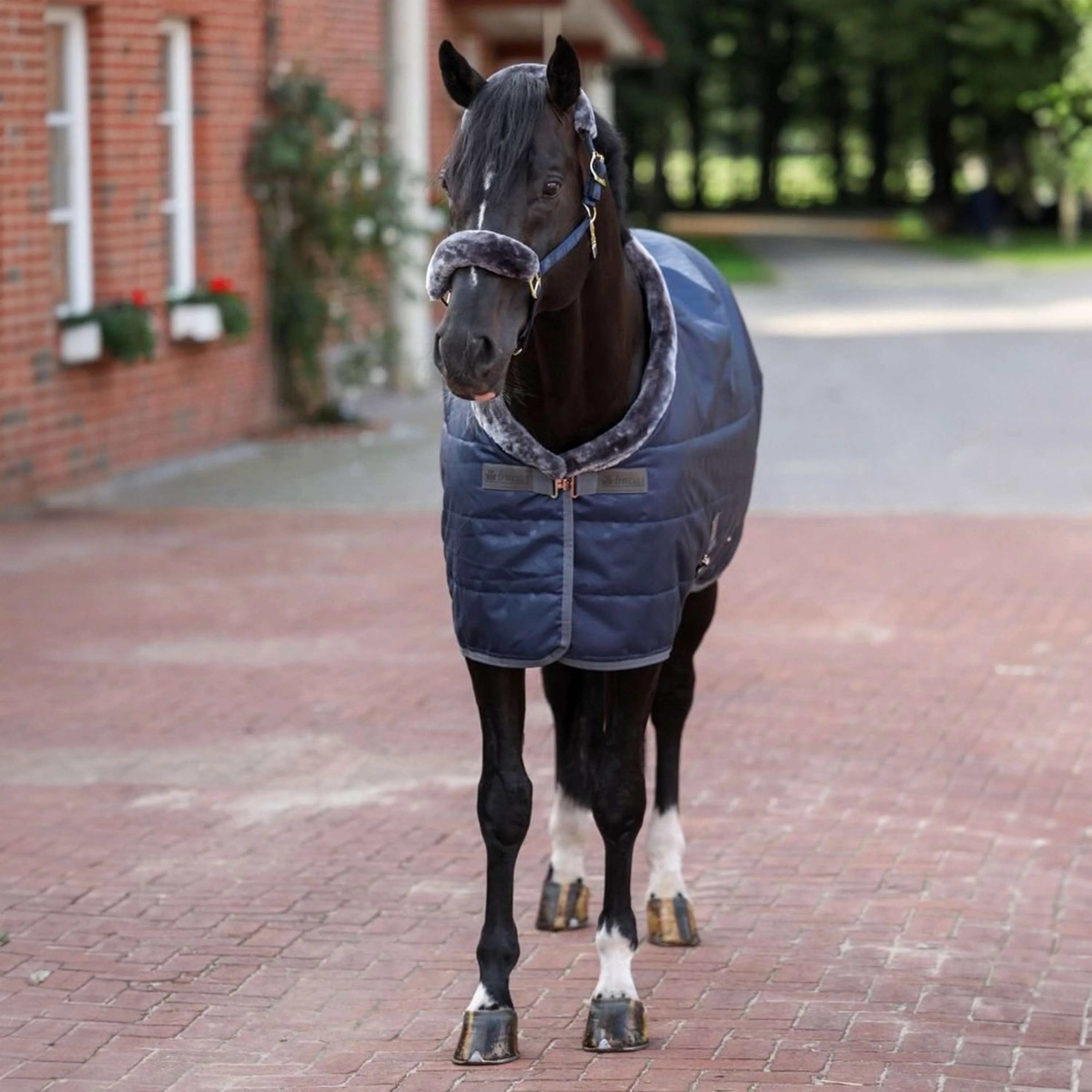 Bucas Stalldecke Show-Line Blu marino/grigio