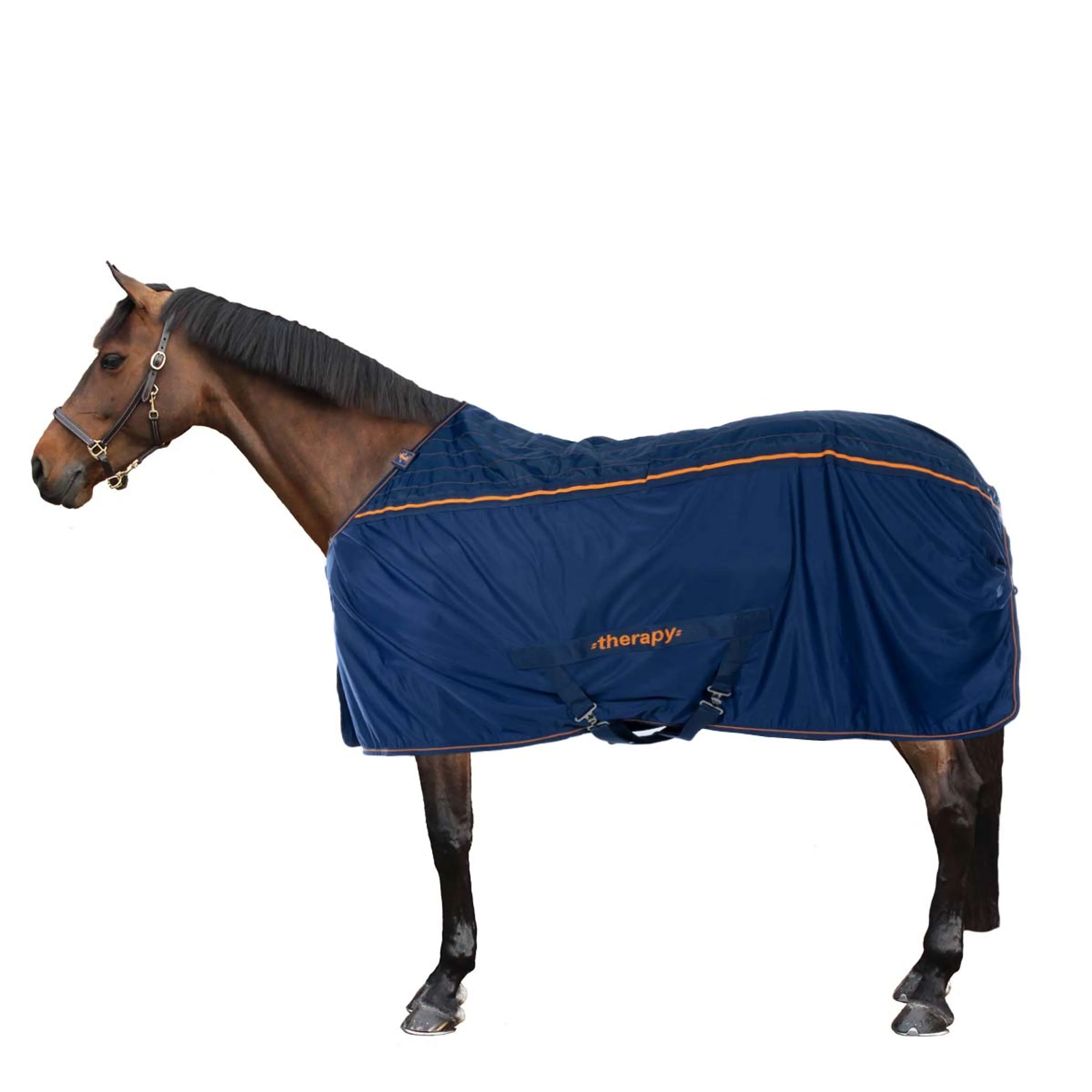 Bucas Therapy Cooler Blu marino/arancione - Image 3