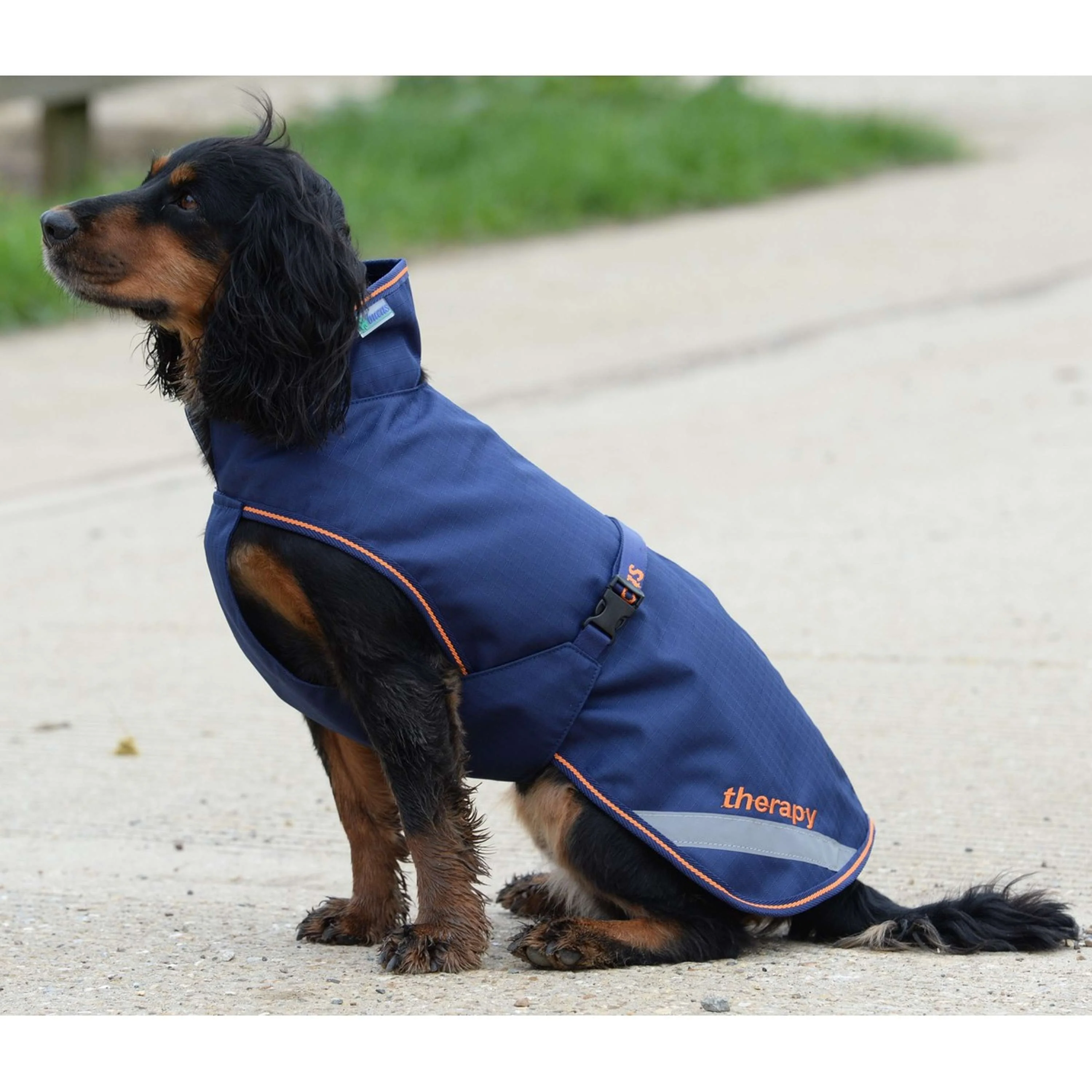 Bucas Therapy Dog Rug 150g Blu marino/arancione - Image 3