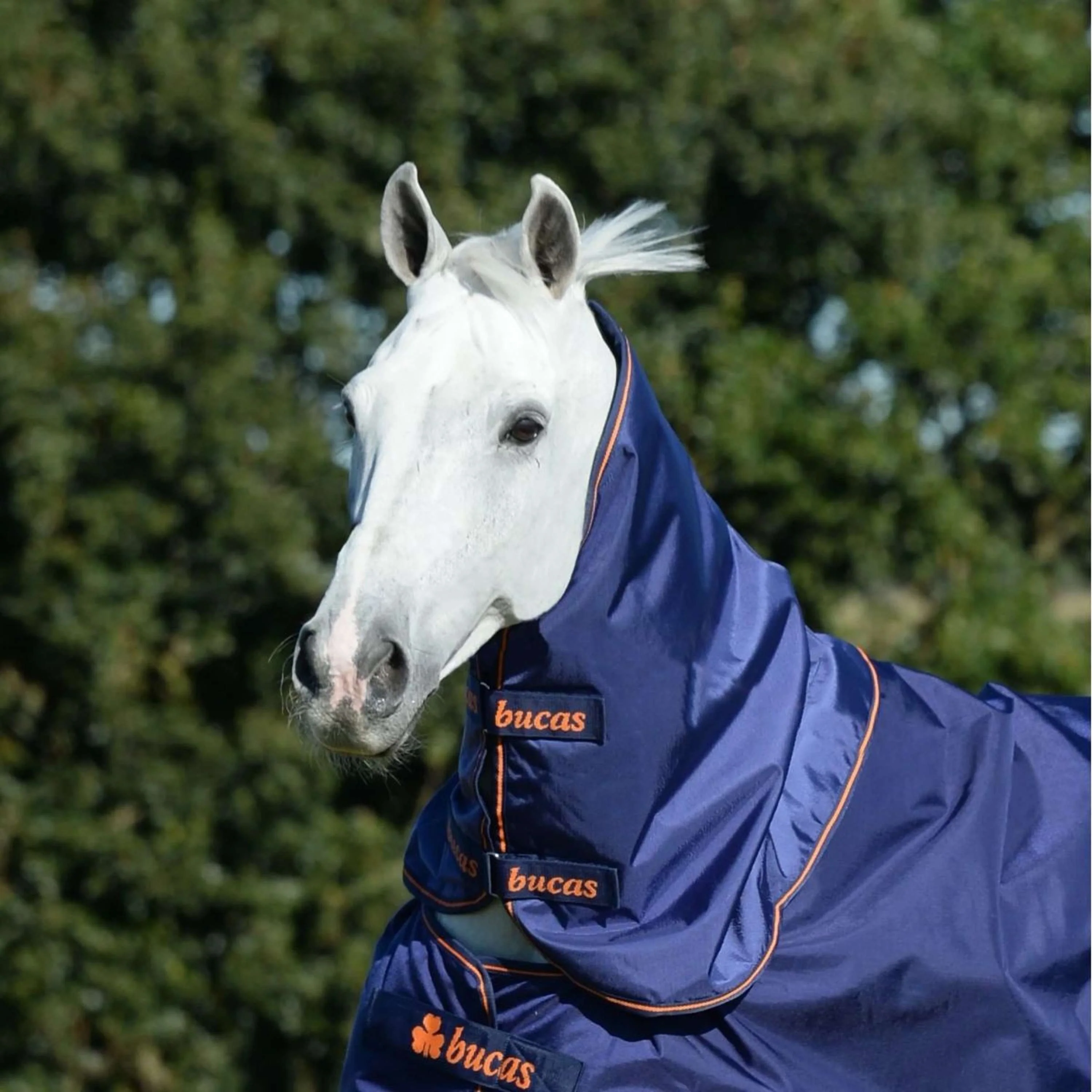 Bucas Therapy Turnout Neck Blu marino/arancione