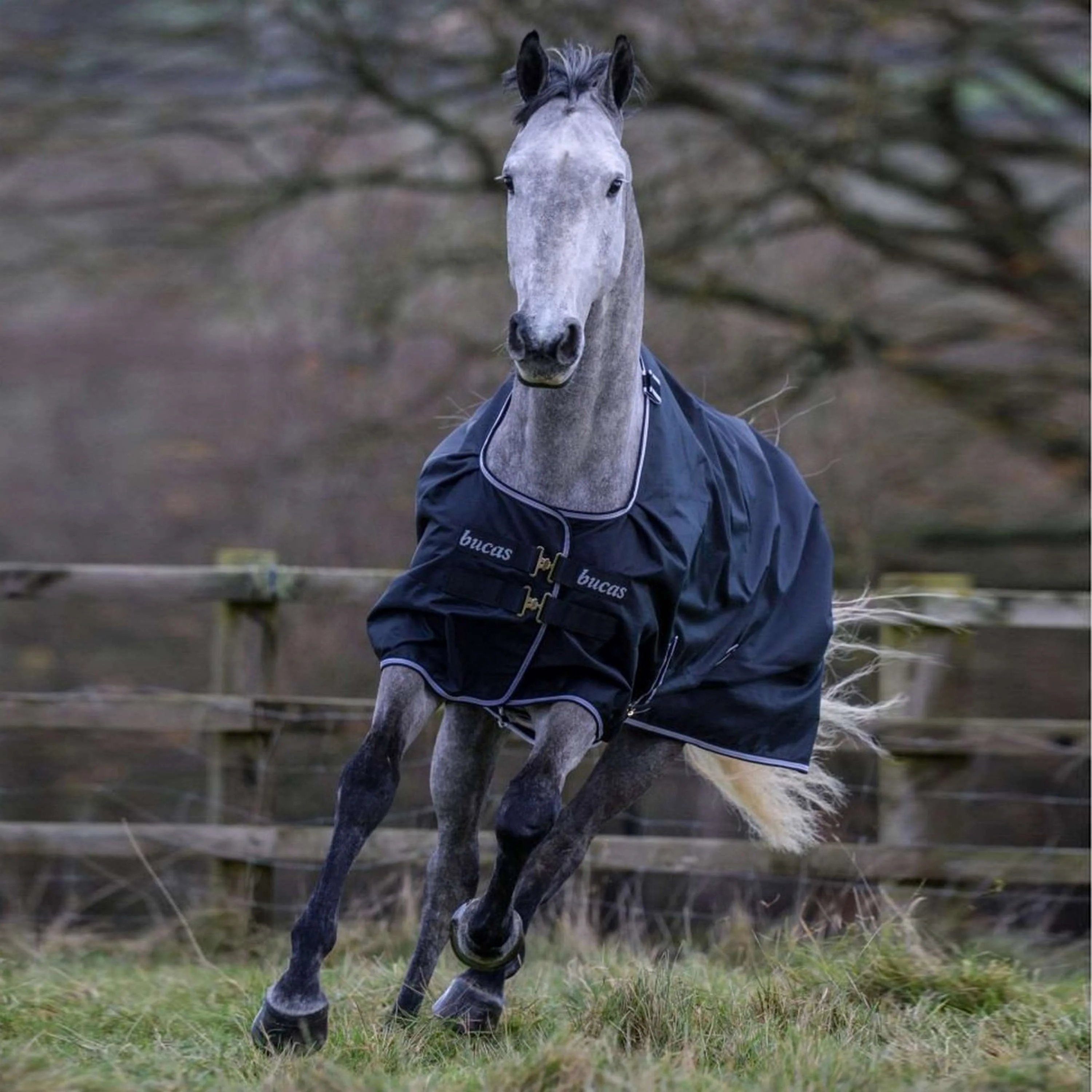 Bucas Trotting Turnout 200g Nero/Bianco