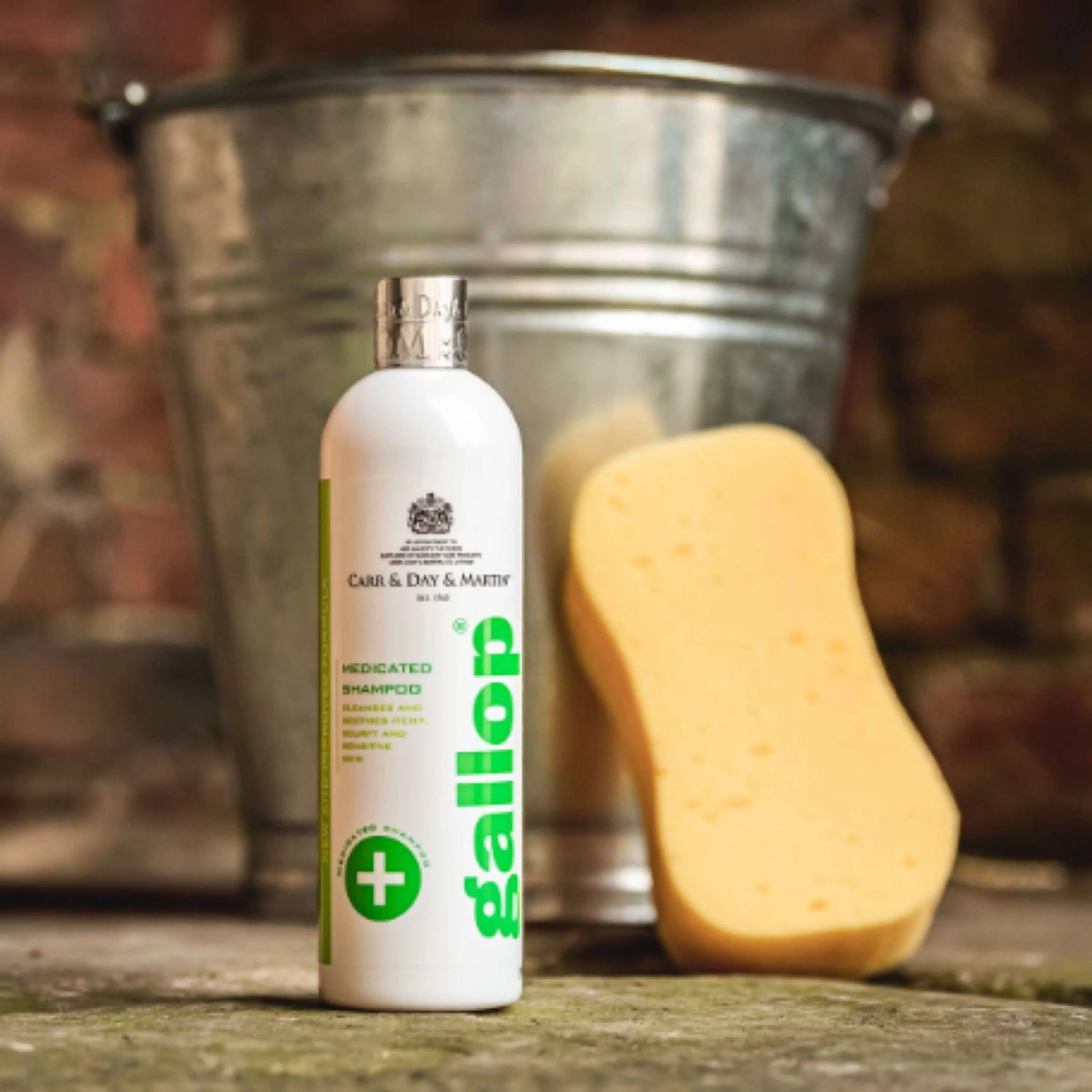 Carr & Day & Martin Shampoo Medicato Pelle - Image 2