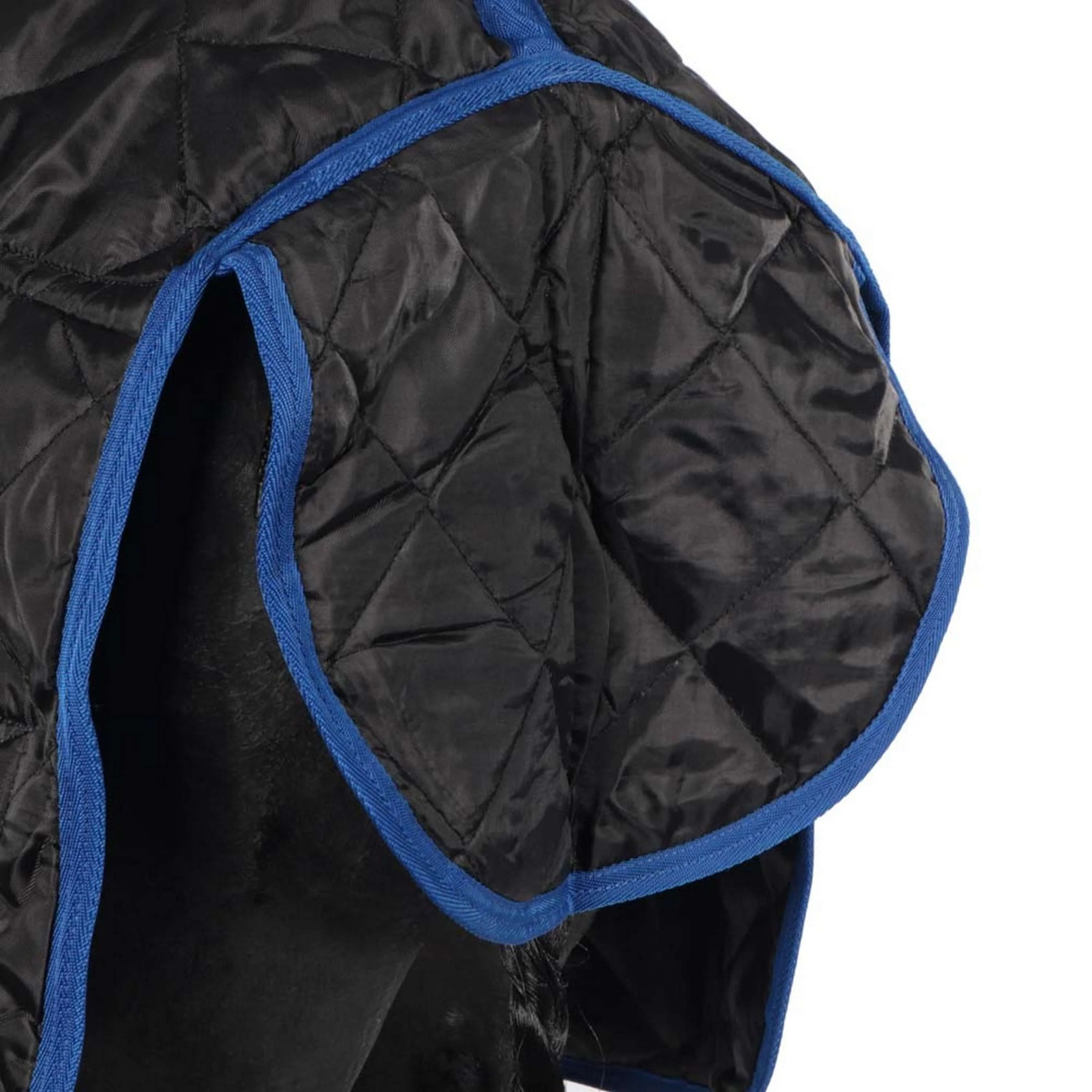 Catago Coperta da scuderia 300g Nero/Blu - Image 8
