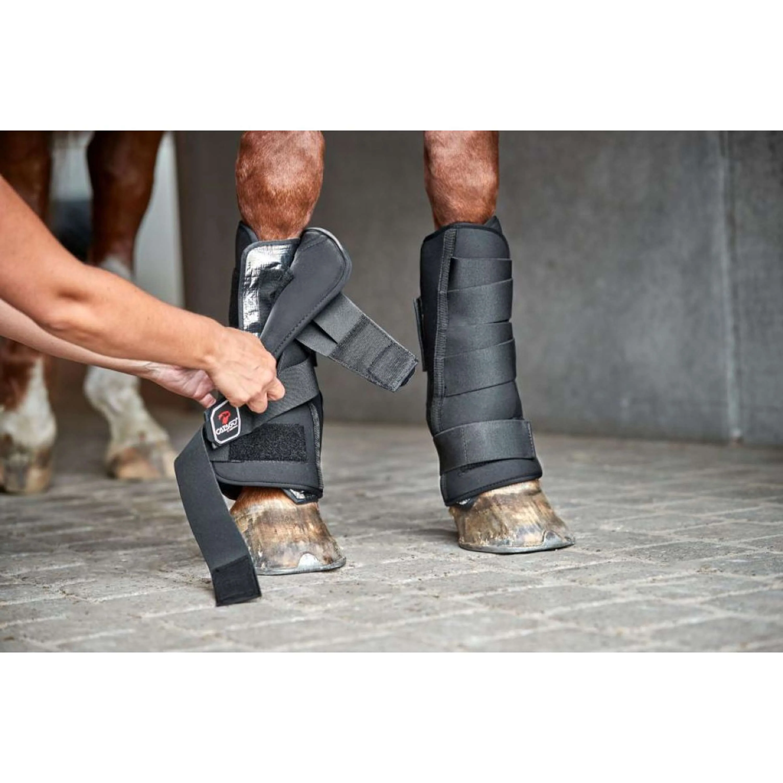 Catago Neoprene Shell for Stable Boot Nero - Image 4