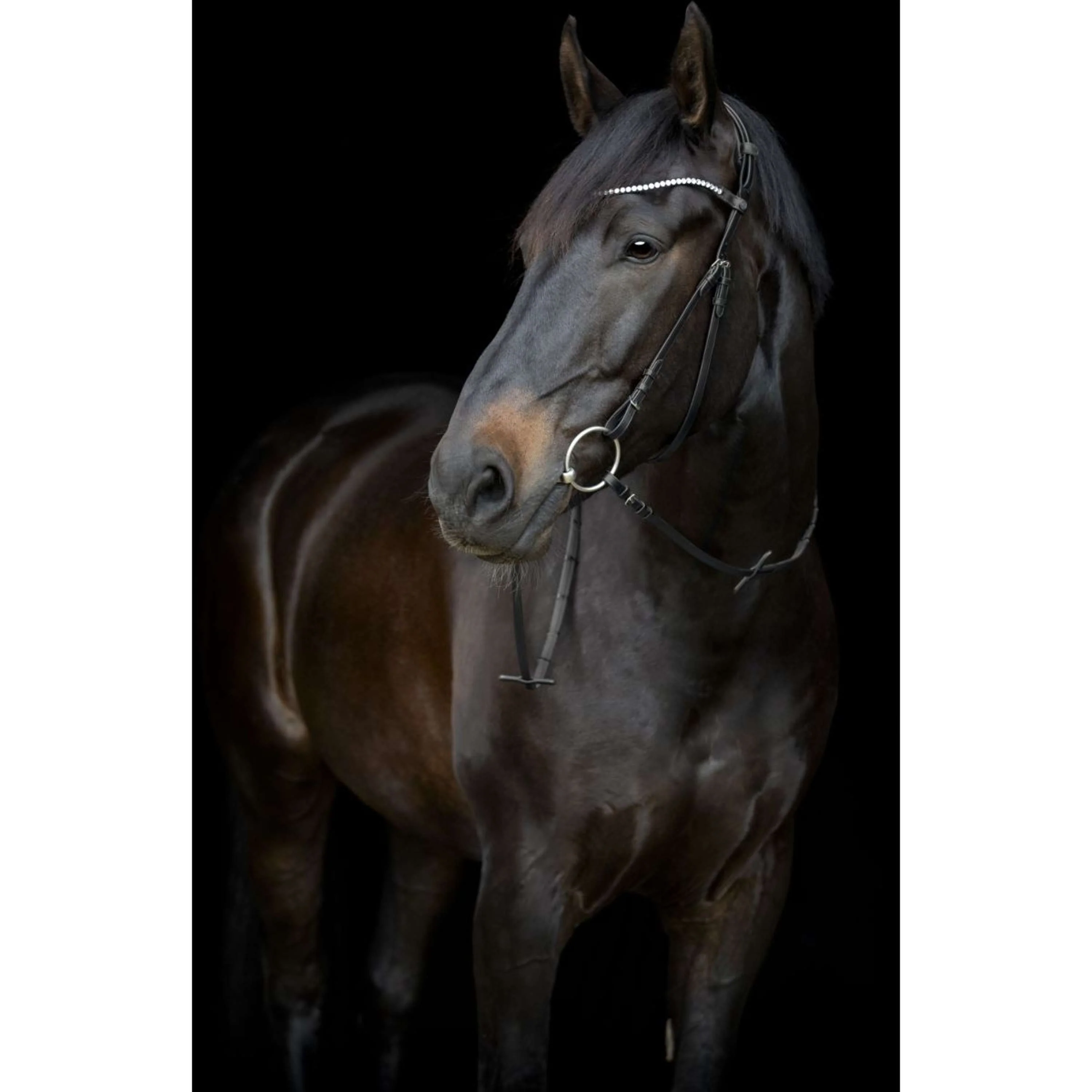 Catago Pezzi Guancia Gentle - Image 3