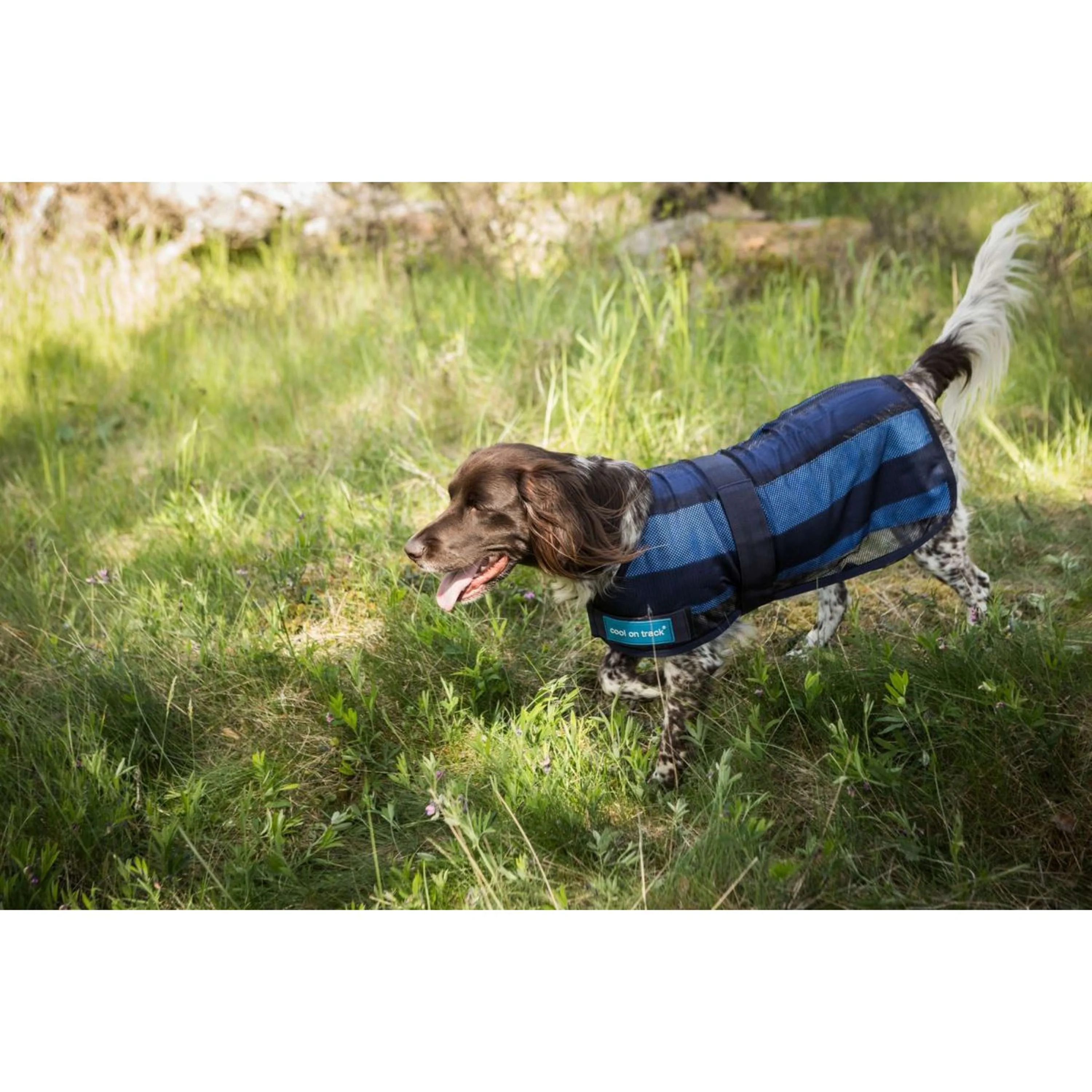 Cool on Track Cappotto per Cane 2.0 Blu - Image 2