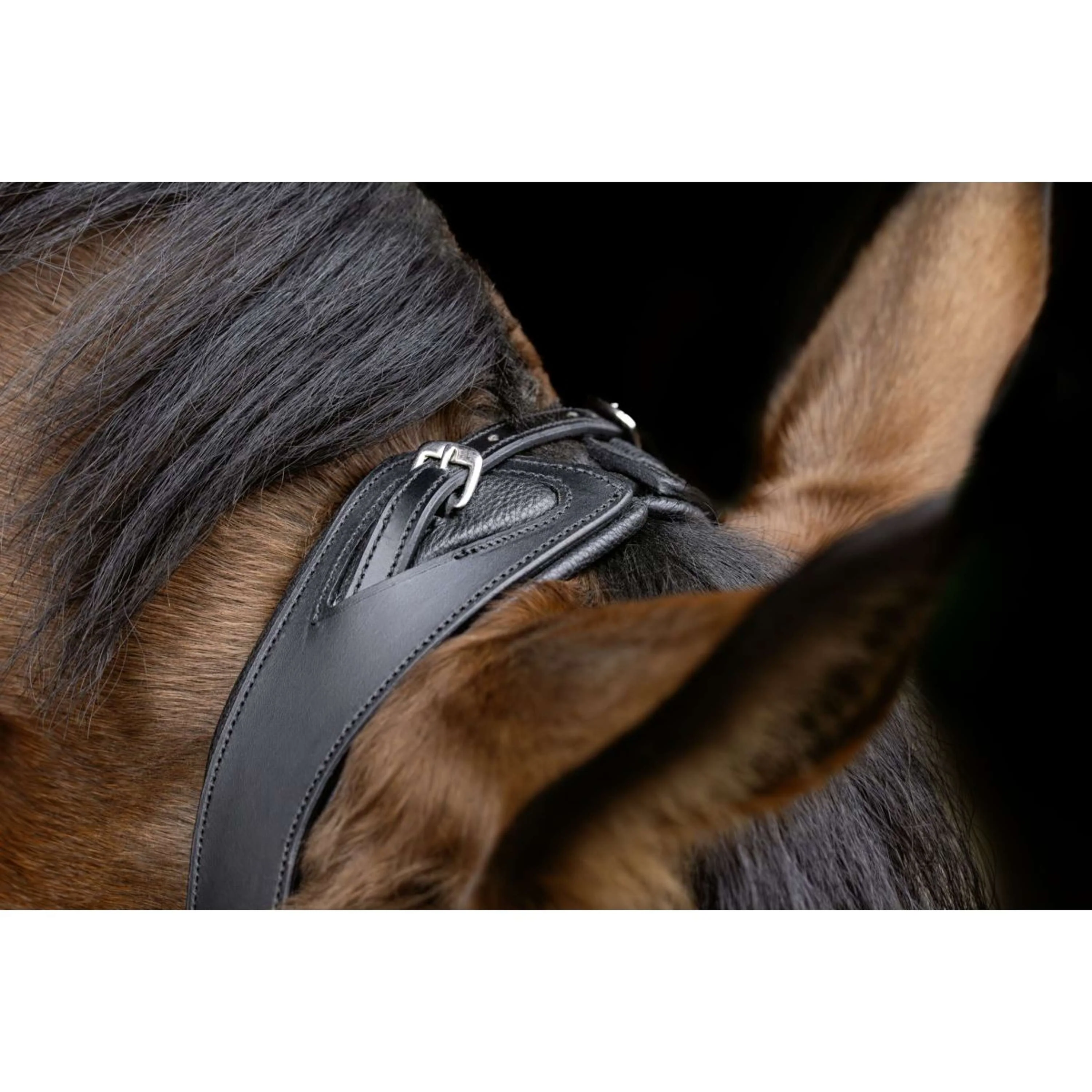 Covalliero Briglia Anatomic Nero - Image 3