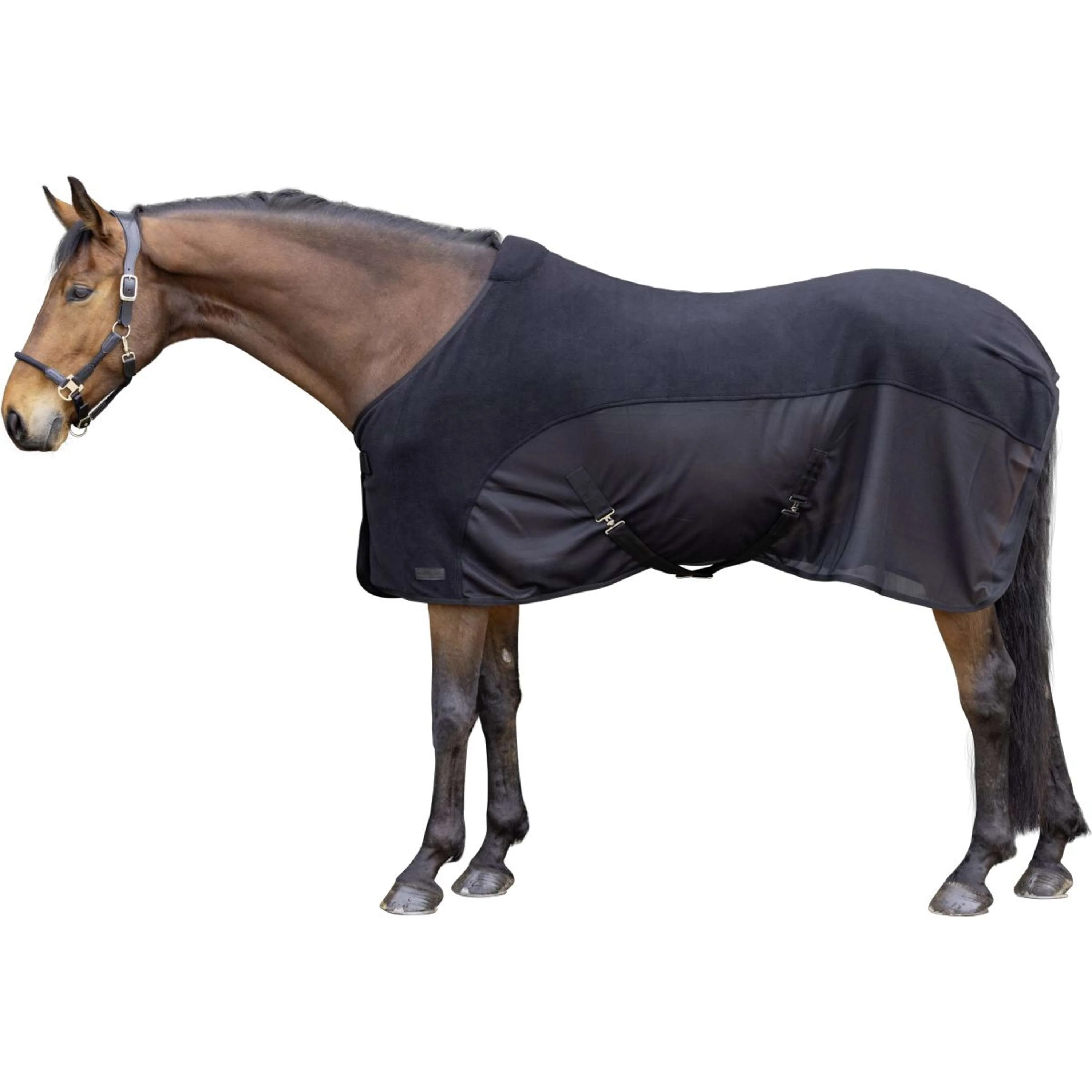 Covalliero Coperta antisudore SS26 Nero - Image 2
