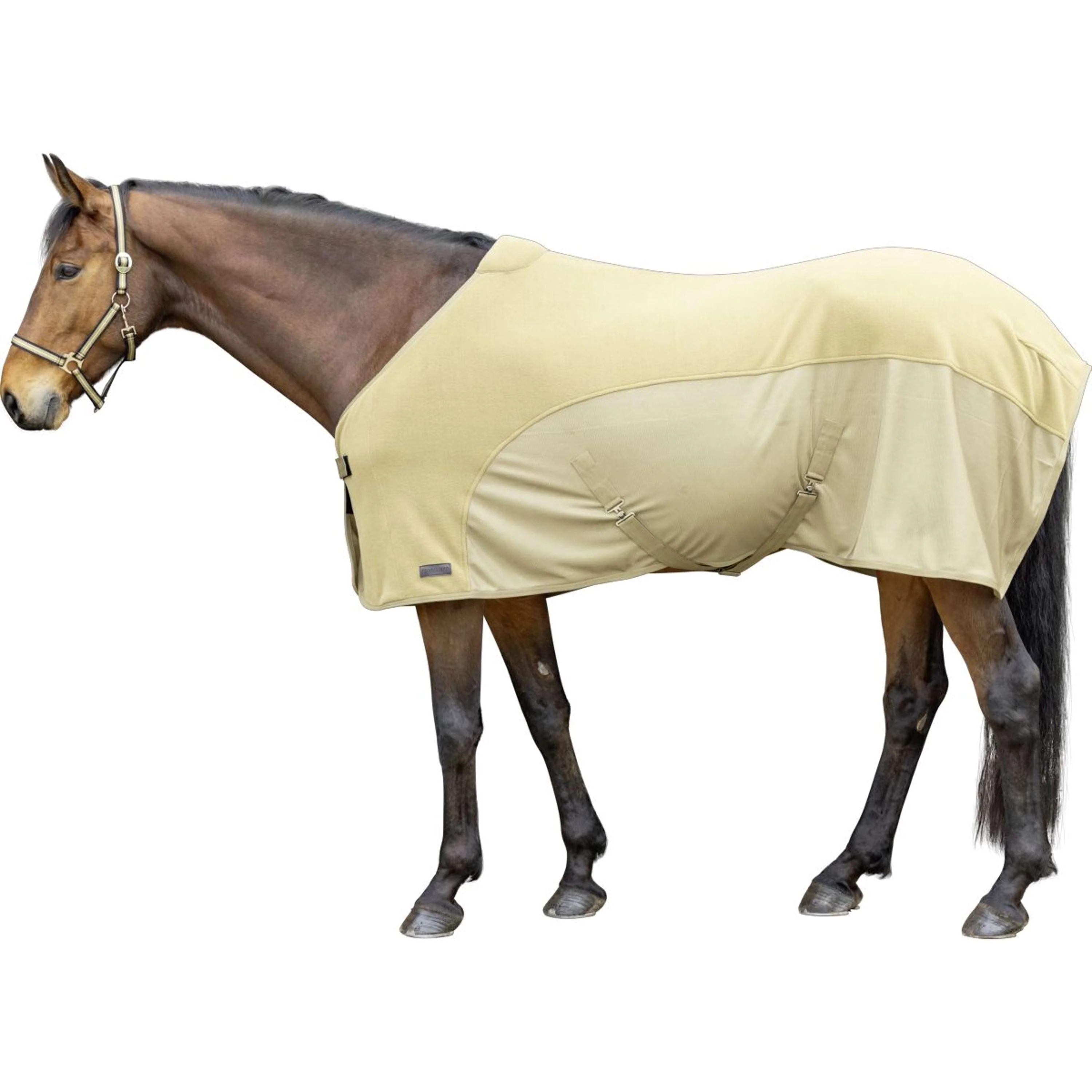 Covalliero Coperta antisudore SS26 Noce - Image 2