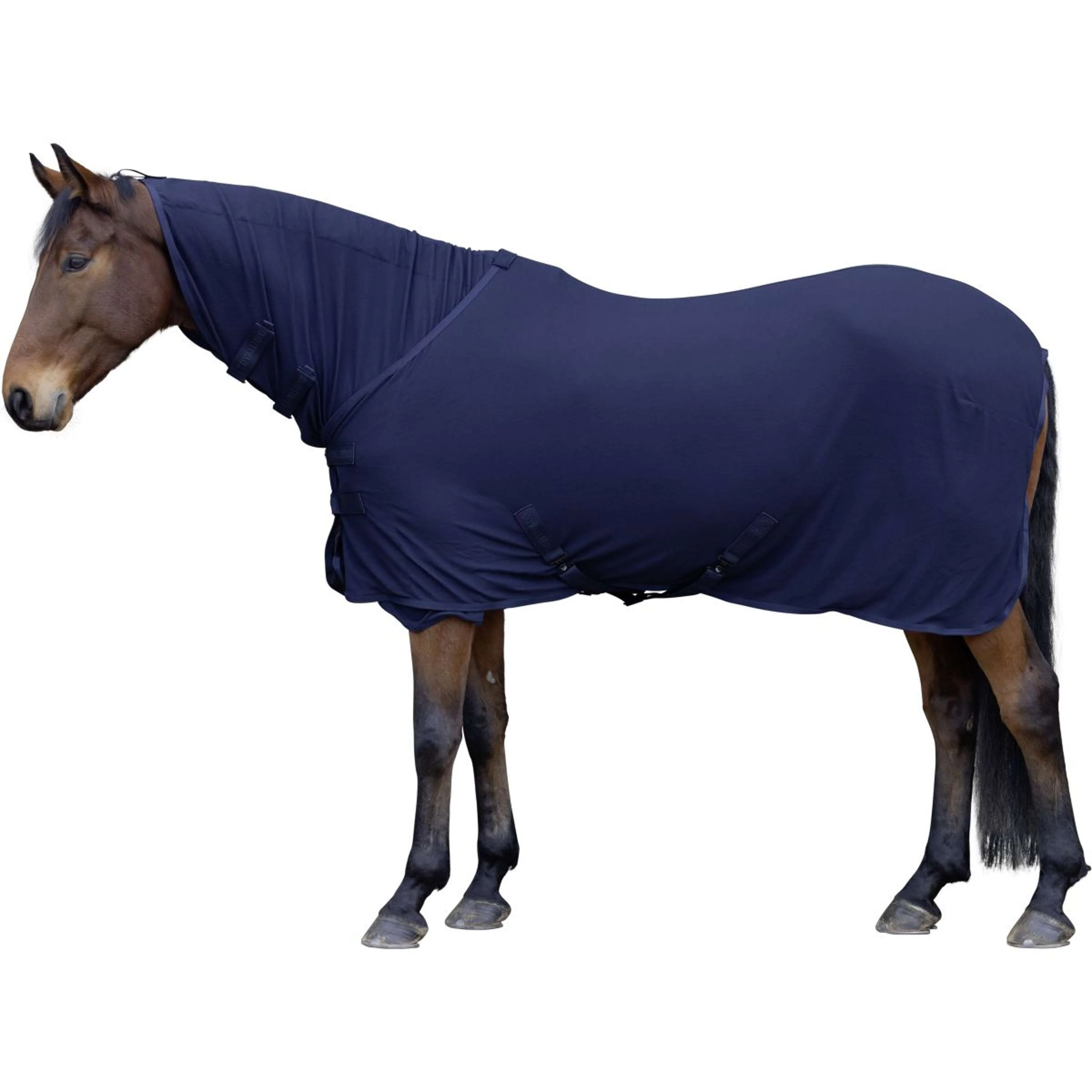 Covalliero Coperta in Pile Light AW25 Dark Navy - Image 3