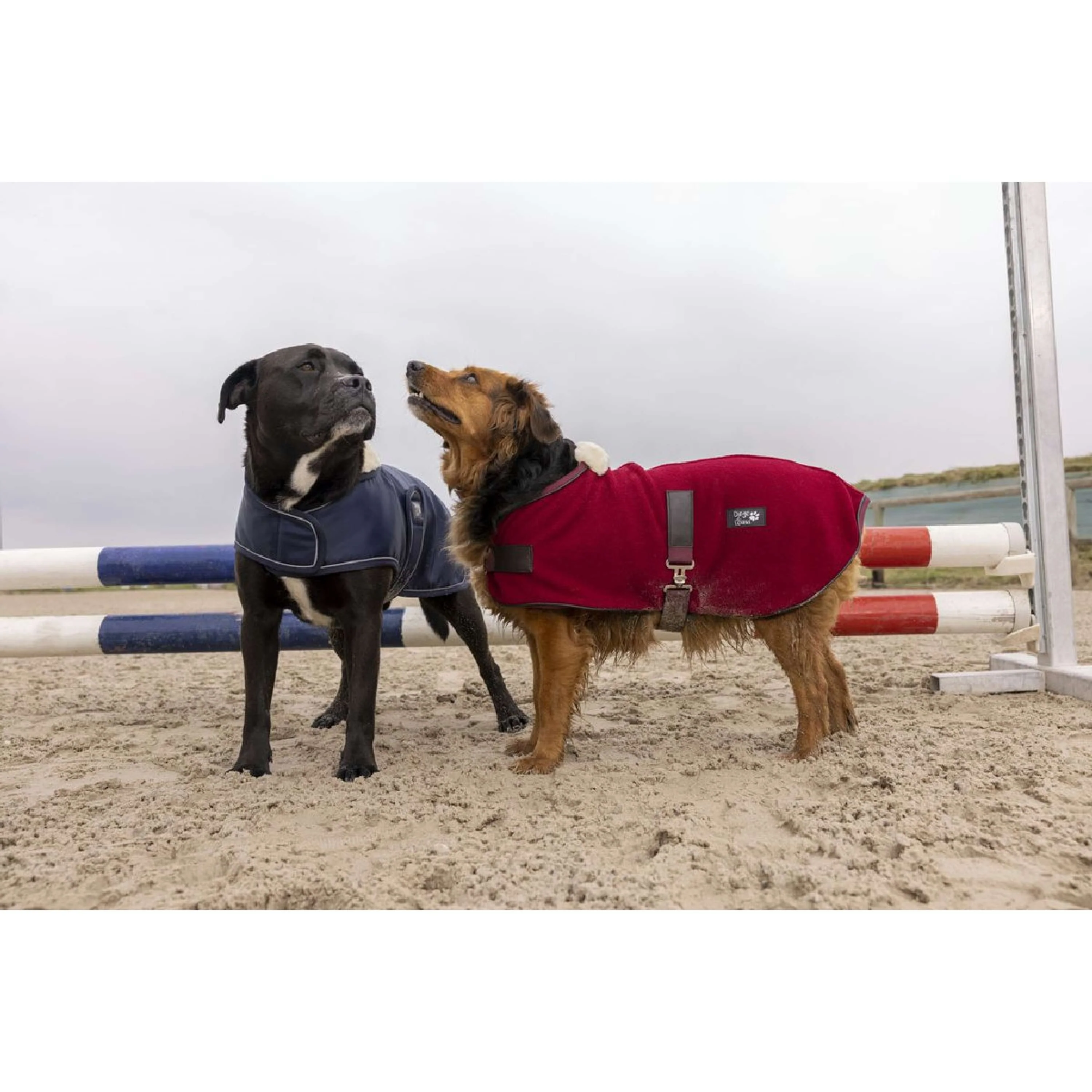 Diego & Louna Coperta per Cani Polar Navy - Image 2
