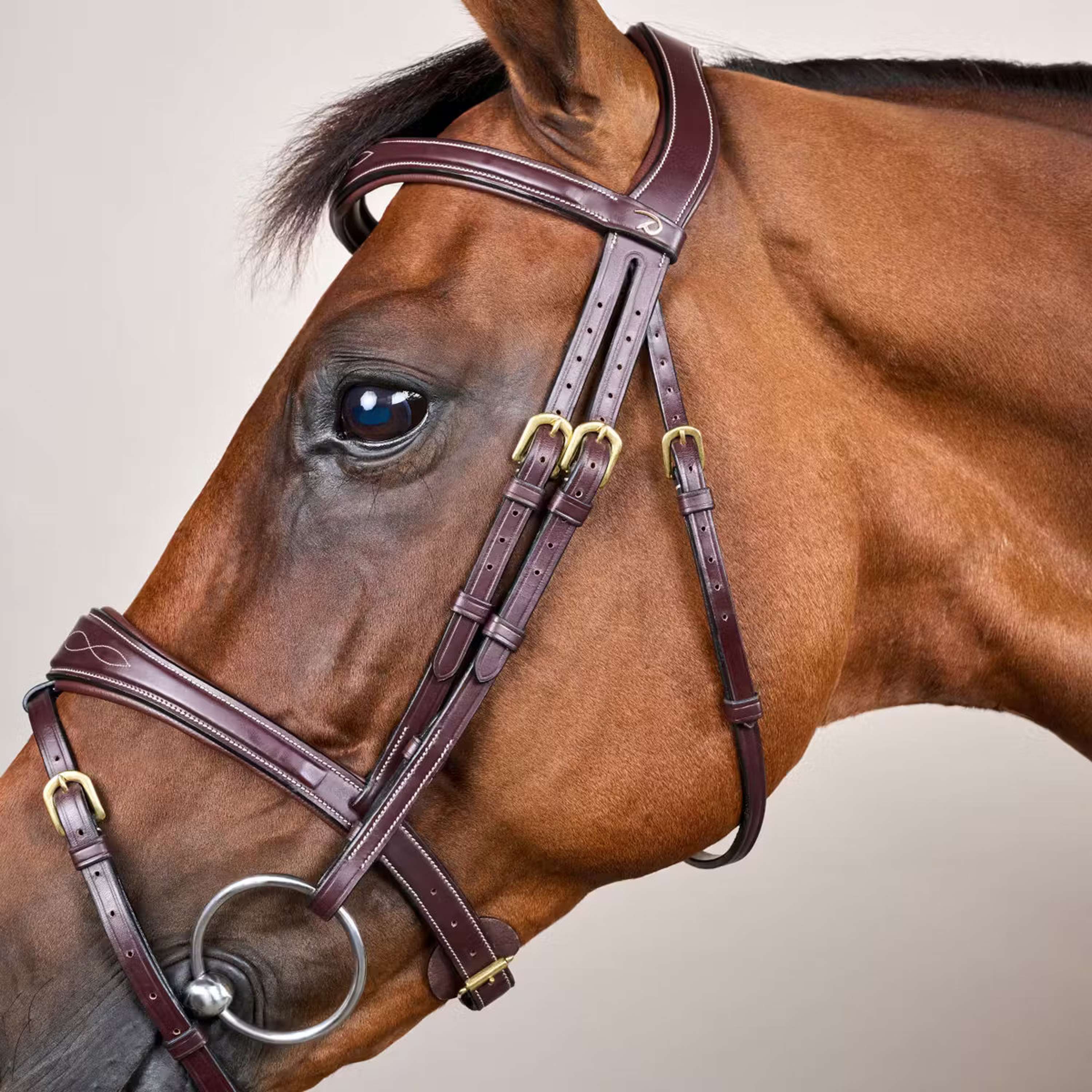Dyon Briglia Anatomic Flash Marrone - Image 3
