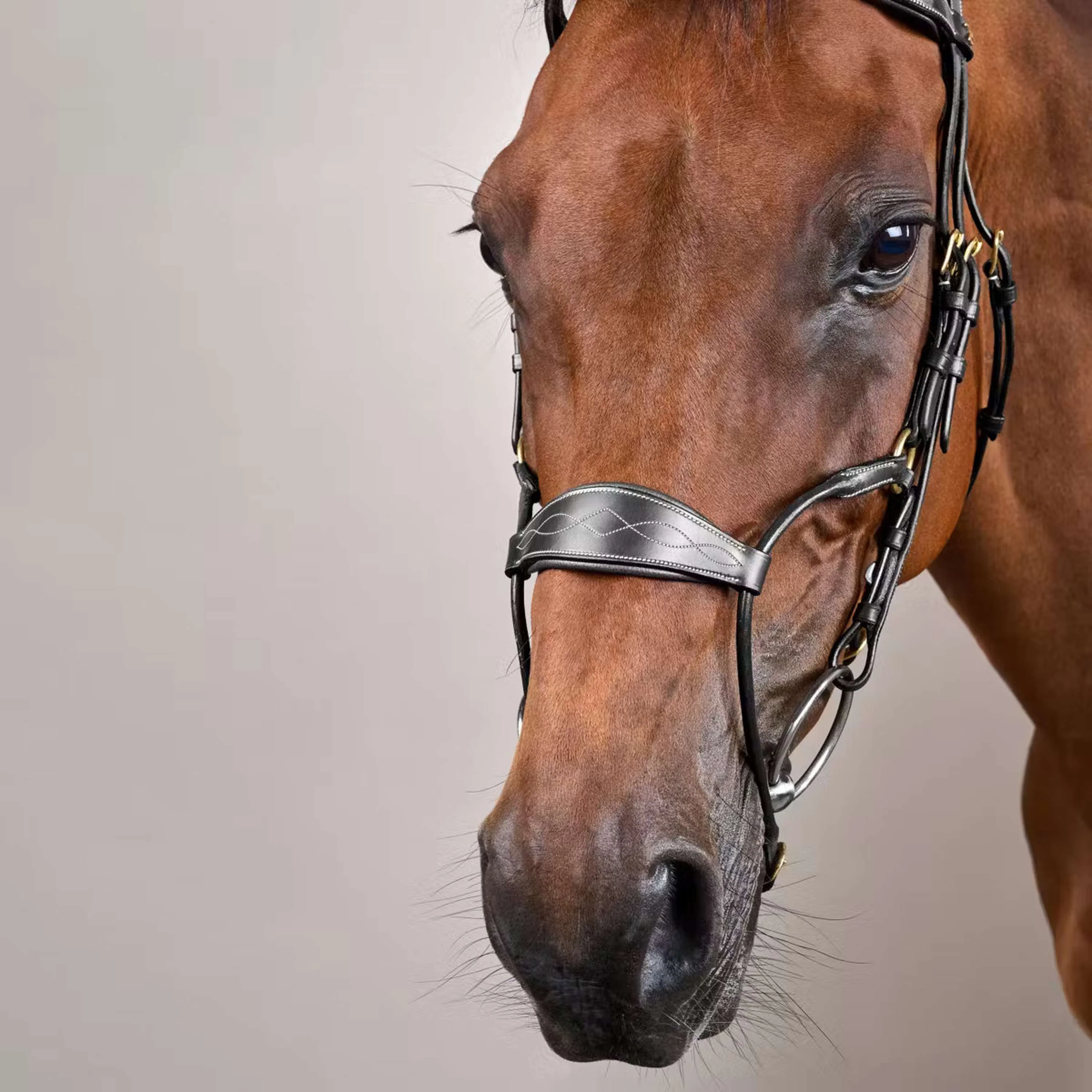 Dyon Briglia Hybrid Nero - Image 3