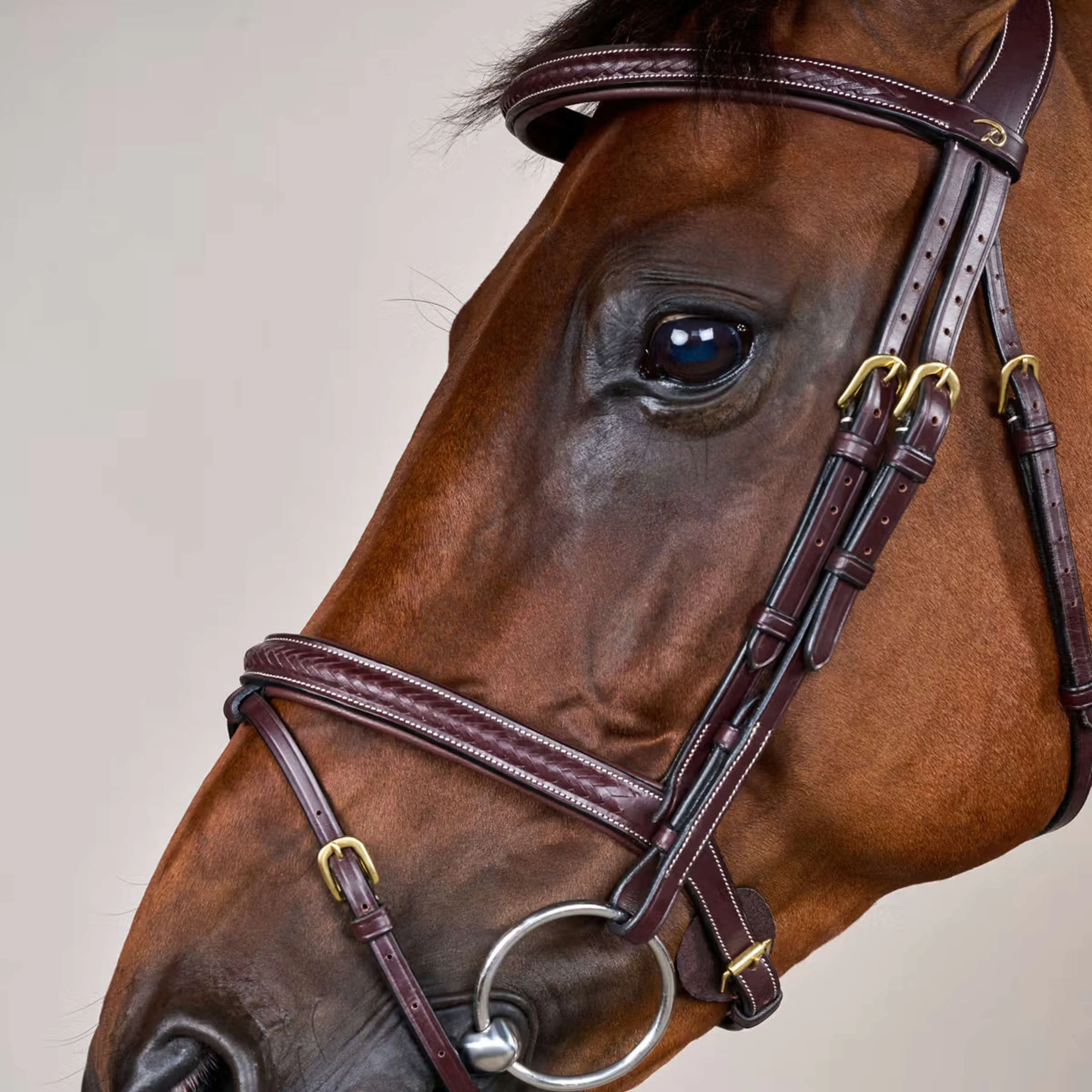 Dyon Briglia Tessuto Marrone - Image 3