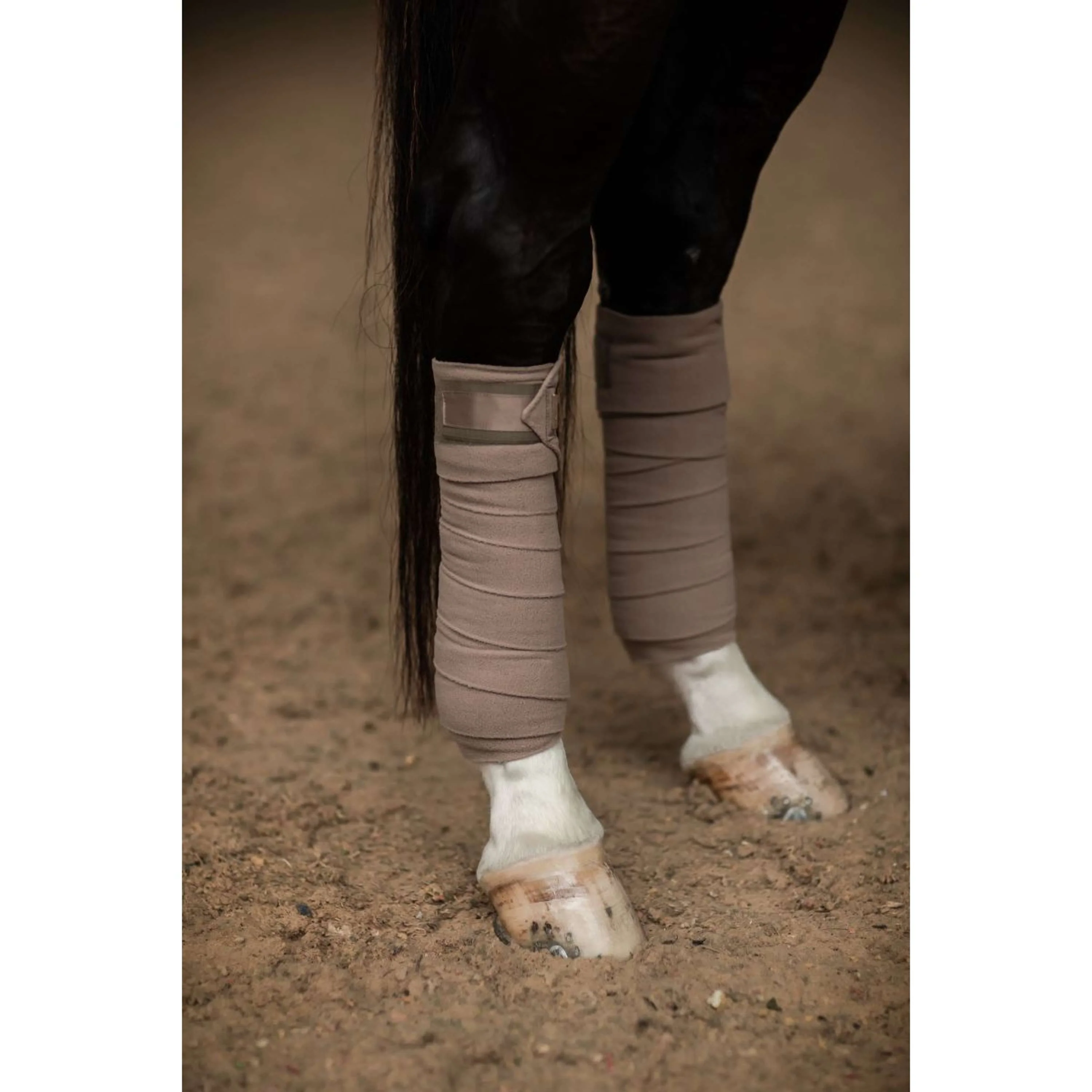 Equestrian Stockholm Bende Champagne - Image 2