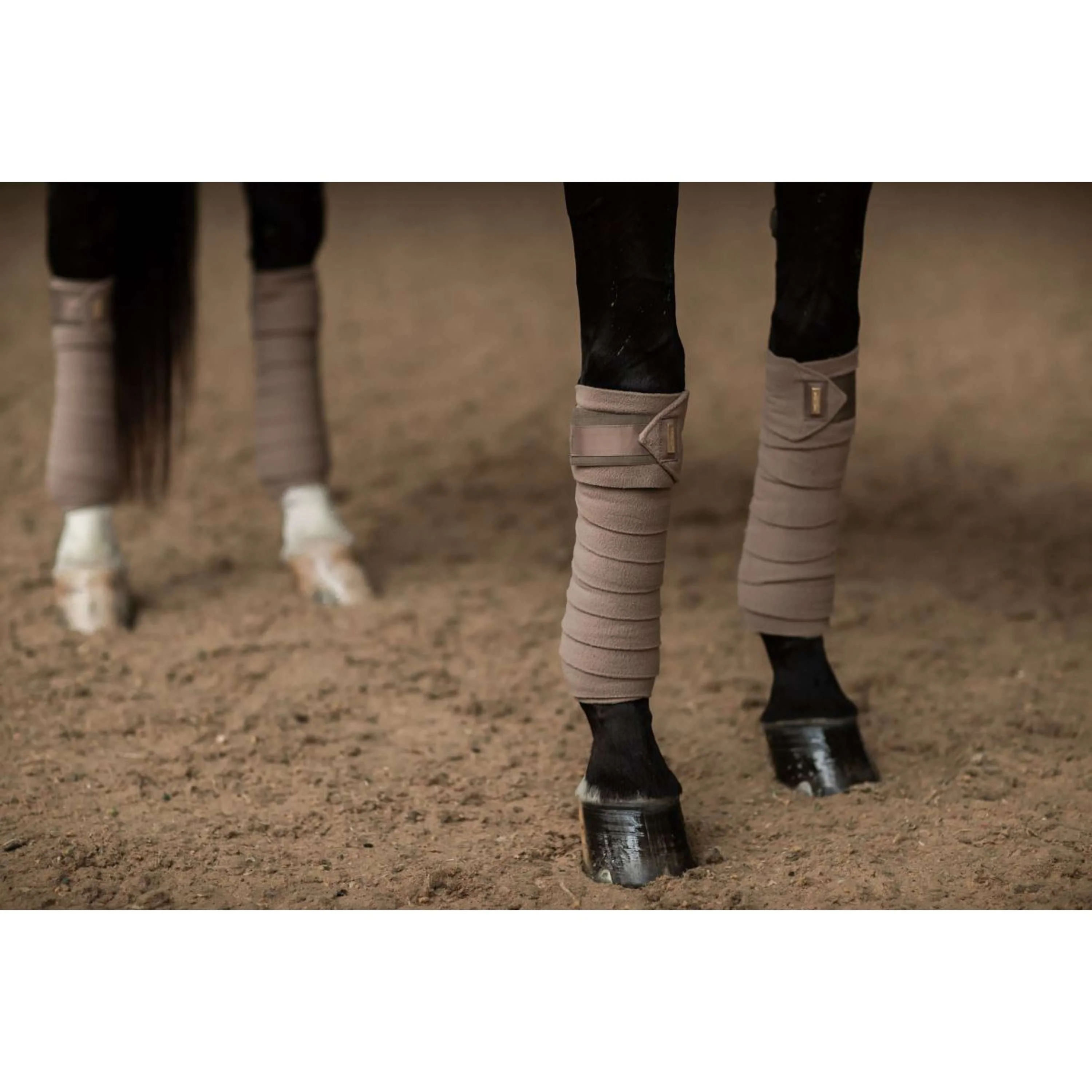 Equestrian Stockholm Bende Champagne - Image 3