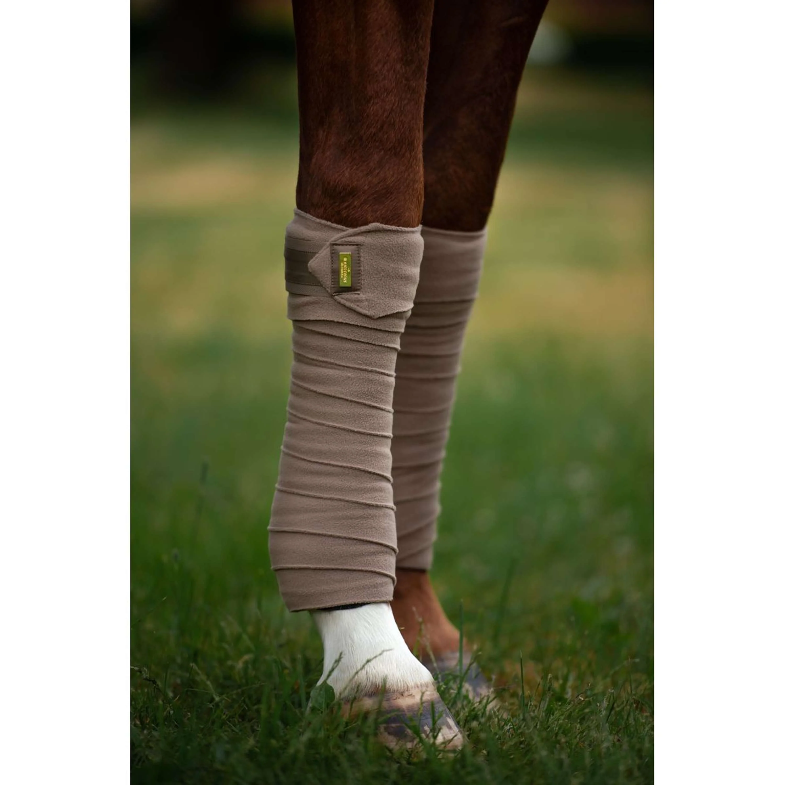Equestrian Stockholm Bende Champagne - Image 6