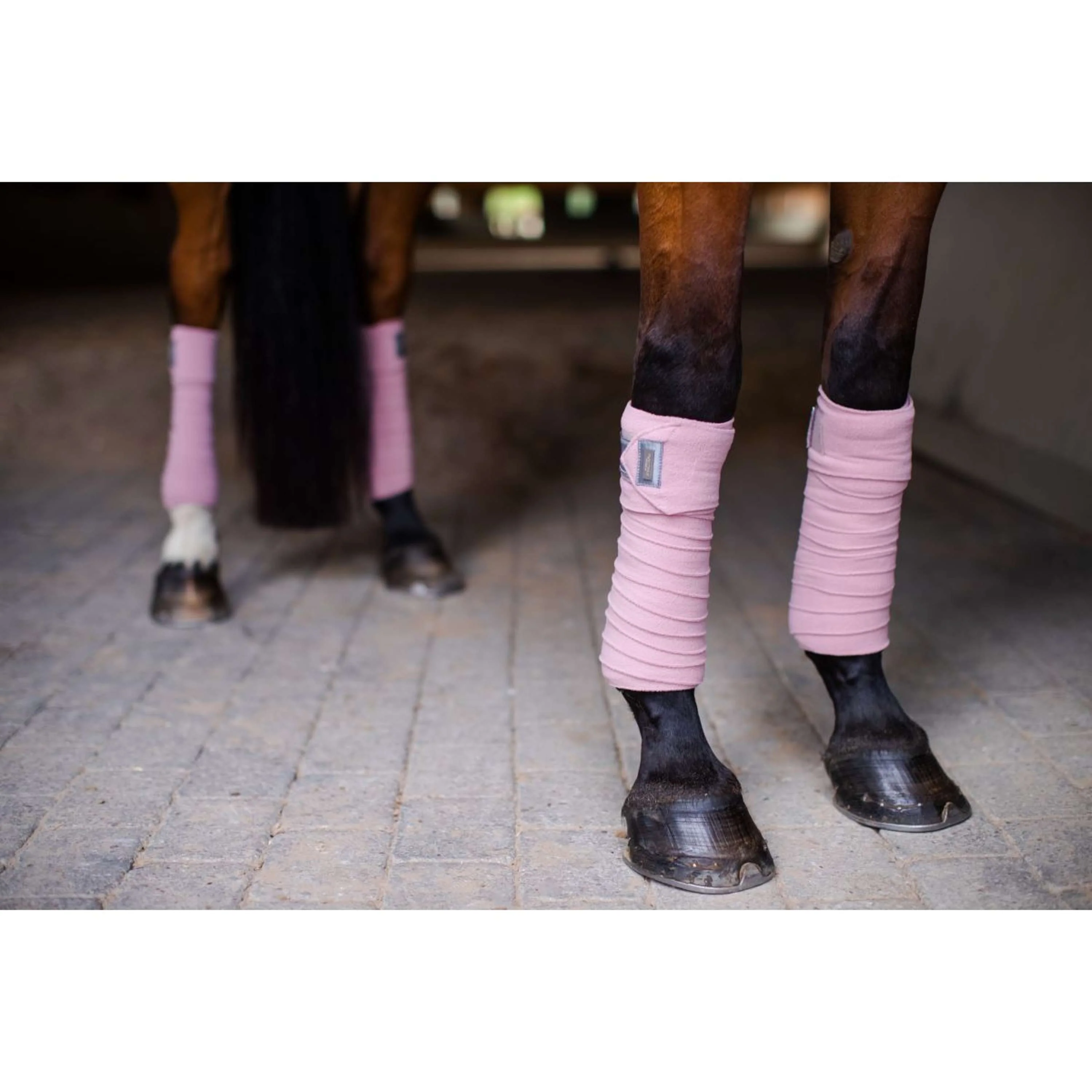 Equestrian Stockholm Bende Rosa - Image 2
