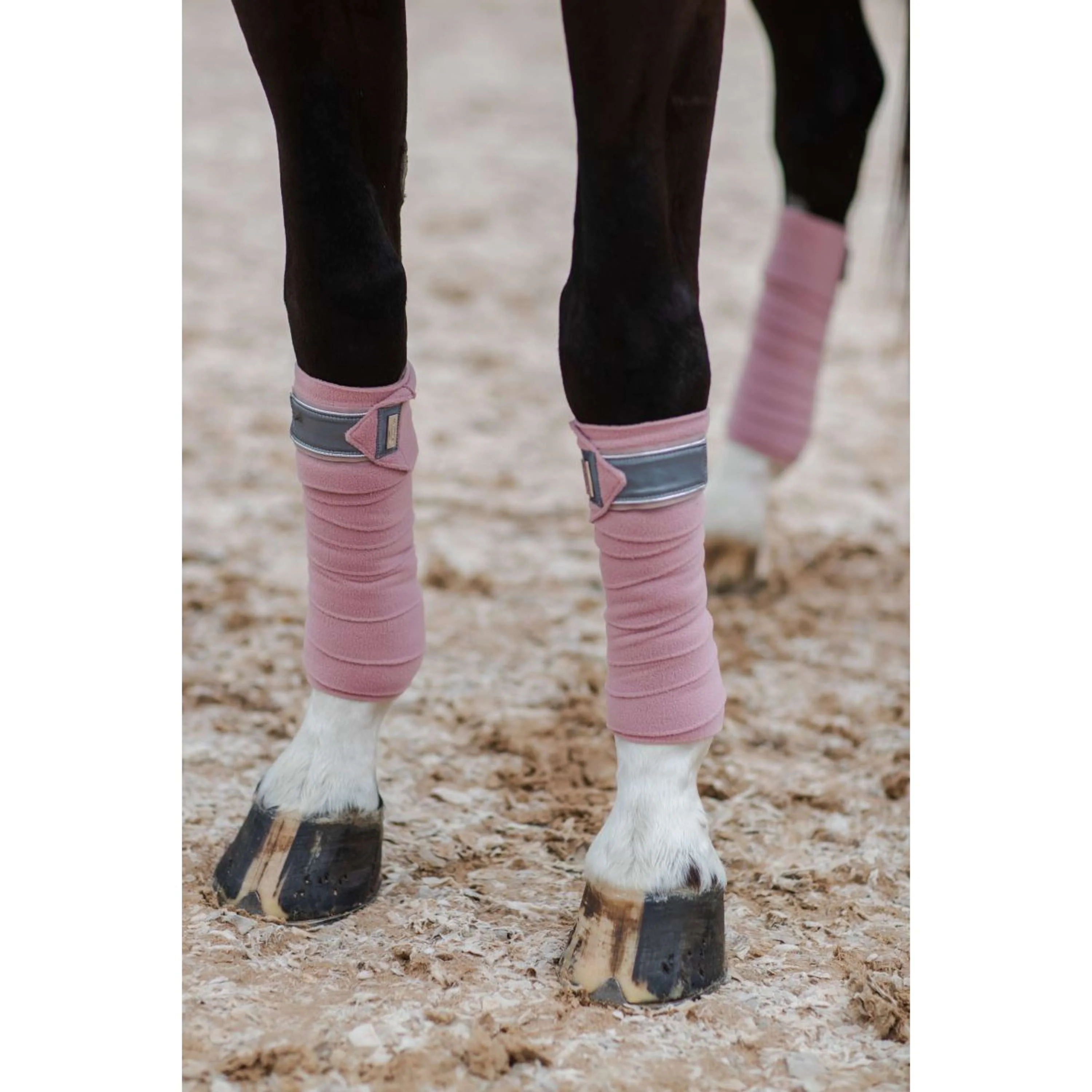 Equestrian Stockholm Bende Rosa - Image 5