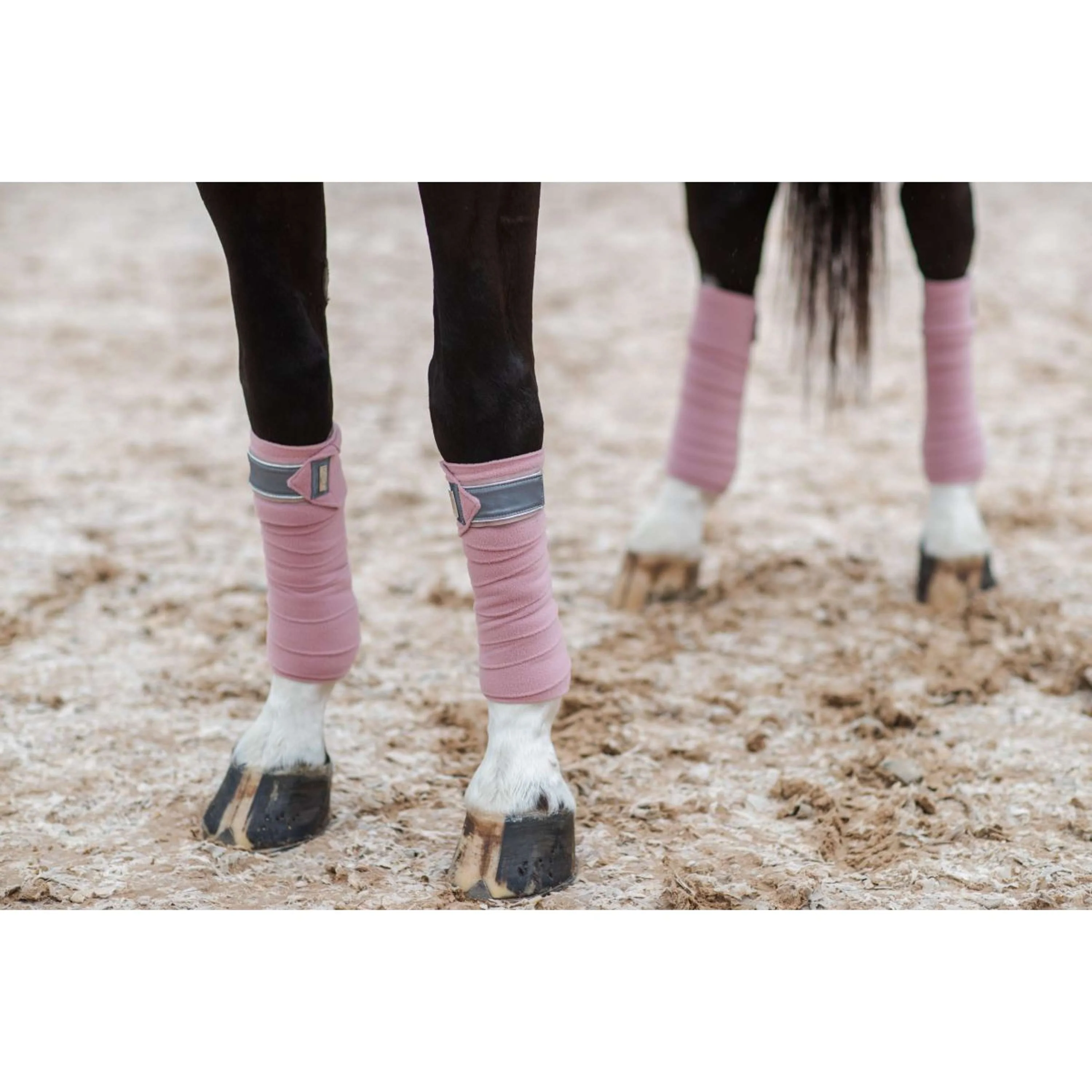 Equestrian Stockholm Bende Rosa - Image 6