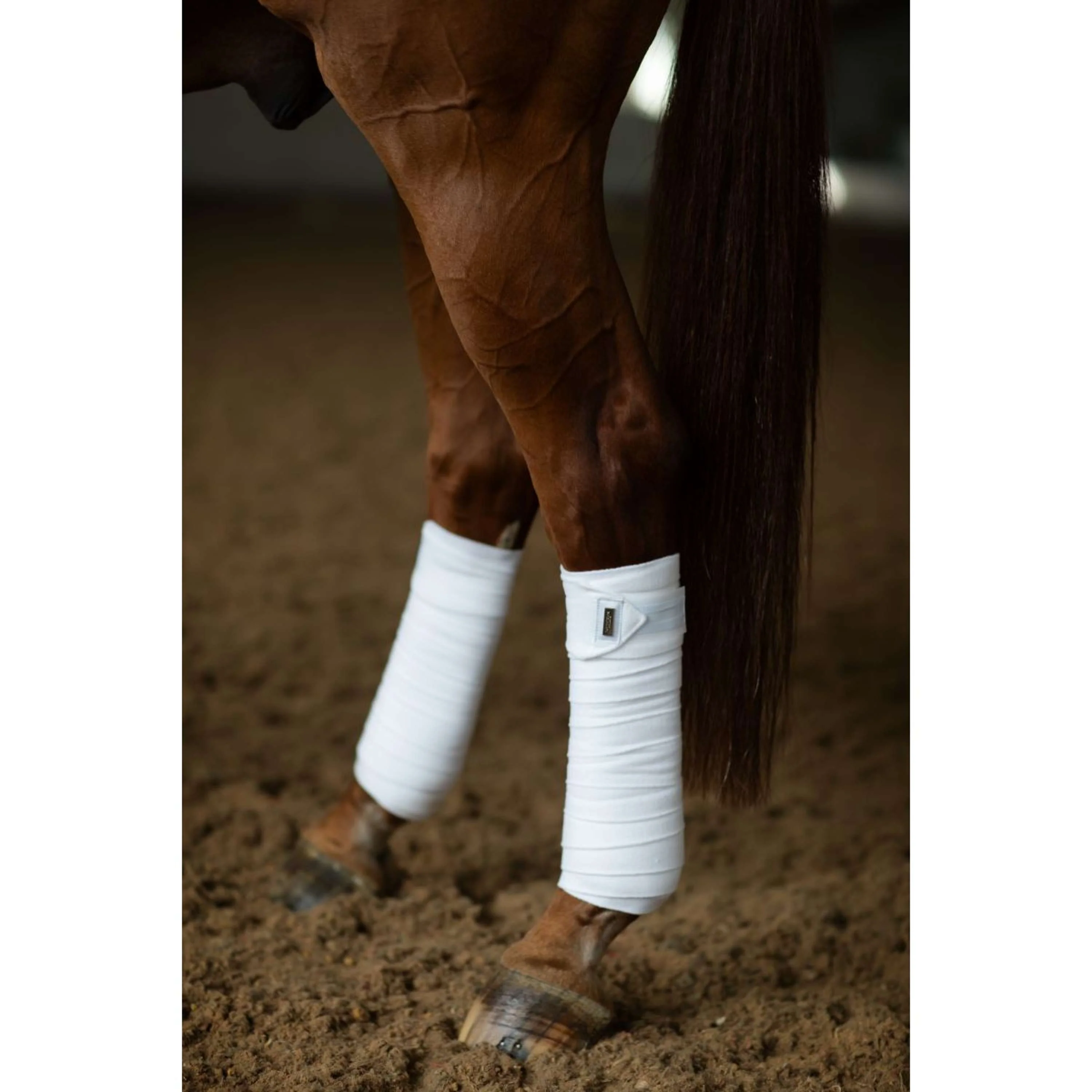 Equestrian Stockholm Bende White Silver - Image 2