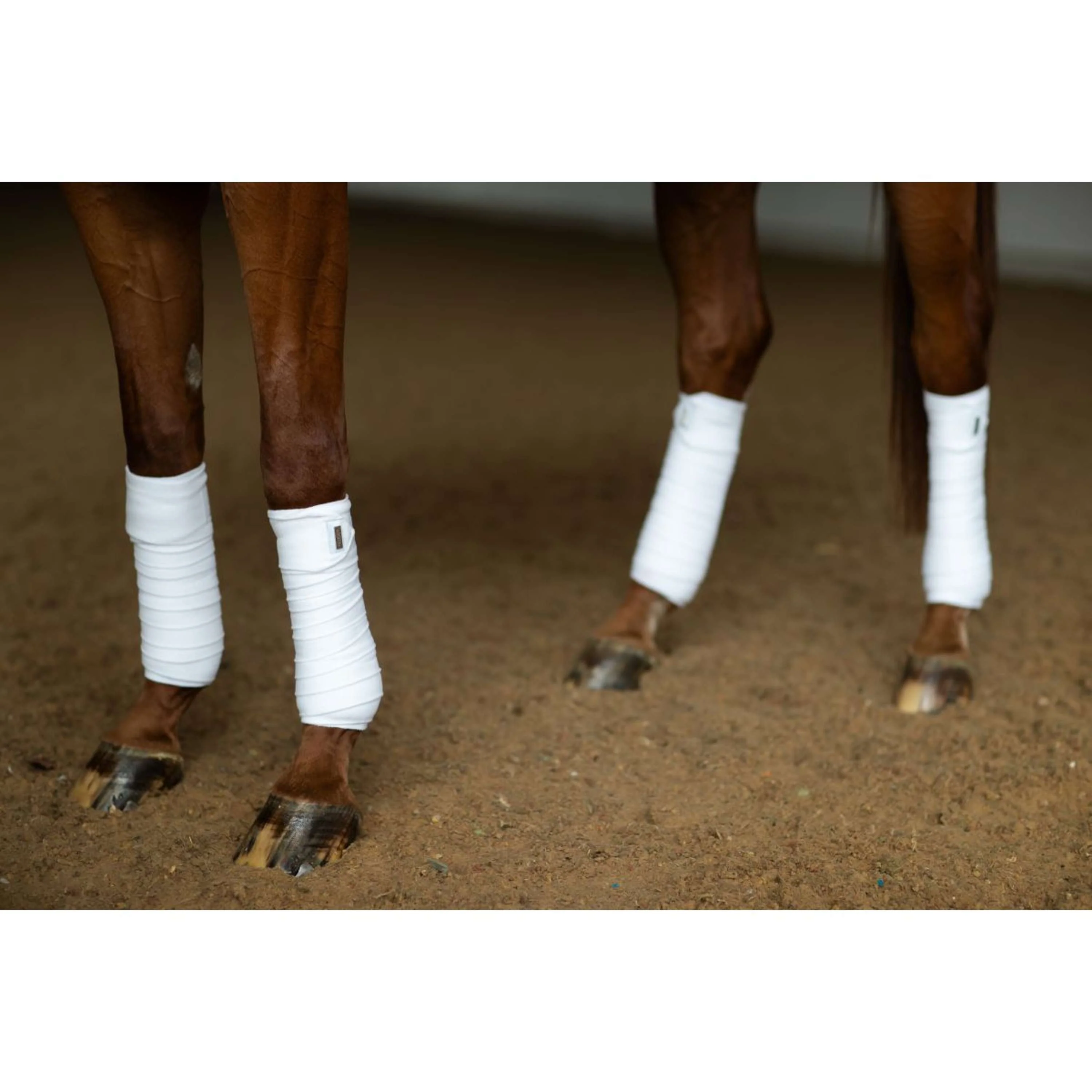 Equestrian Stockholm Bende White Silver - Image 3