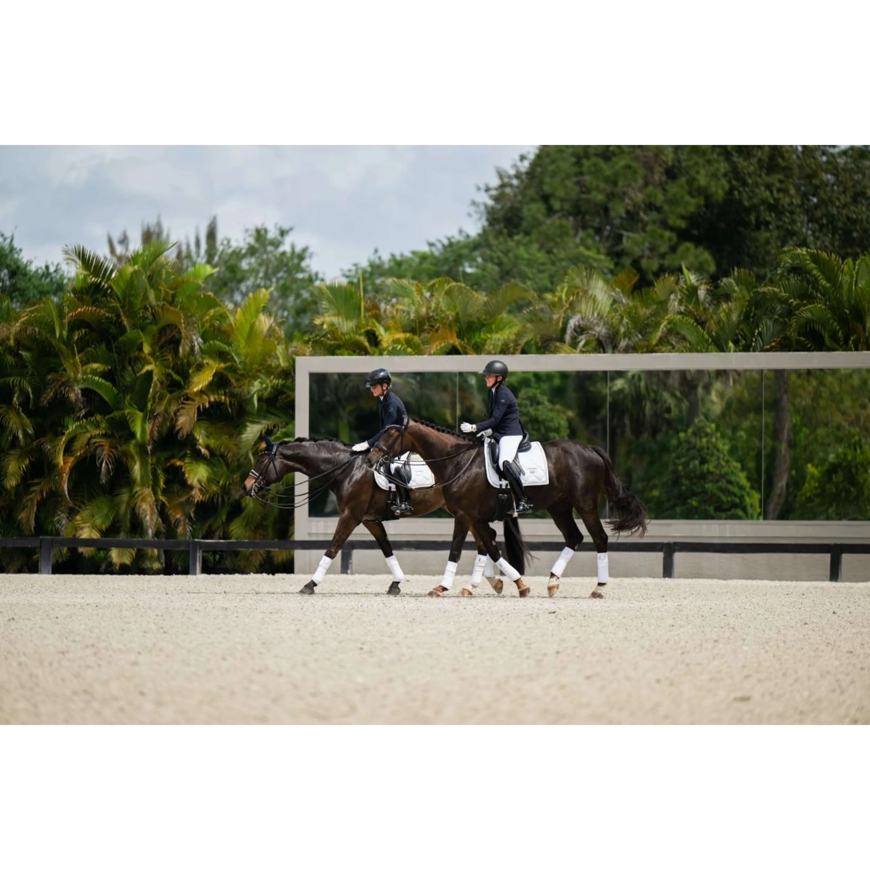 Equestrian Stockholm Bende White Silver - Image 4