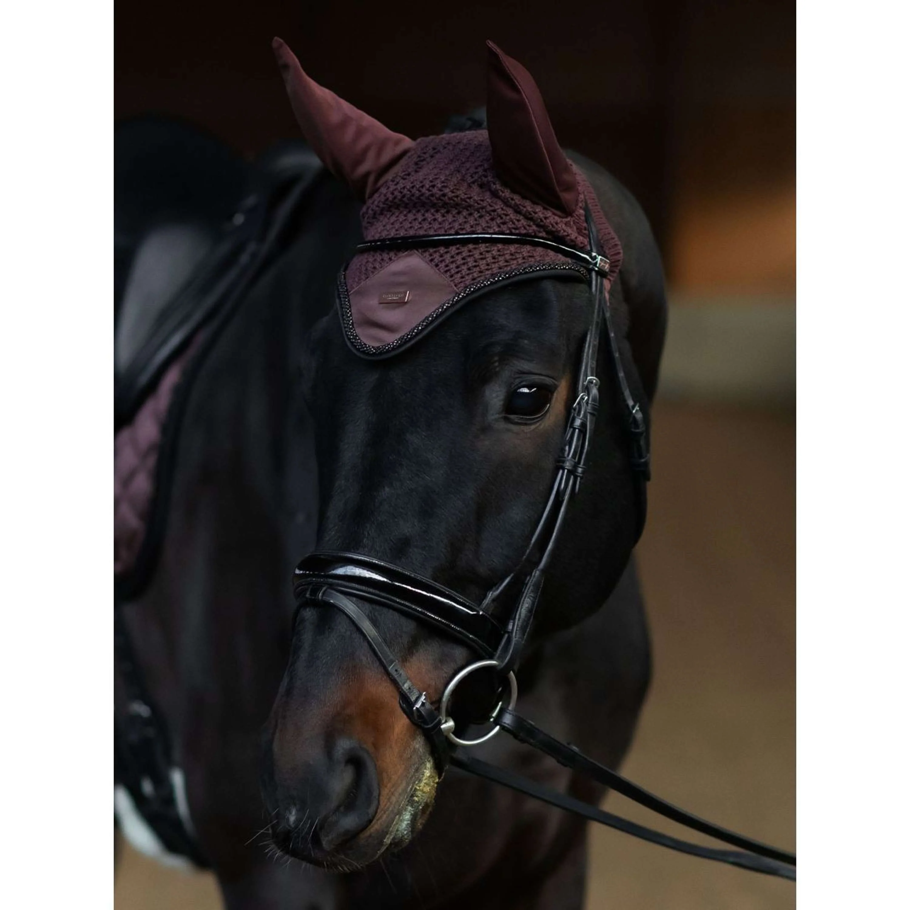 Equestrian Stockholm Cuffietta Endless Glow - Image 2