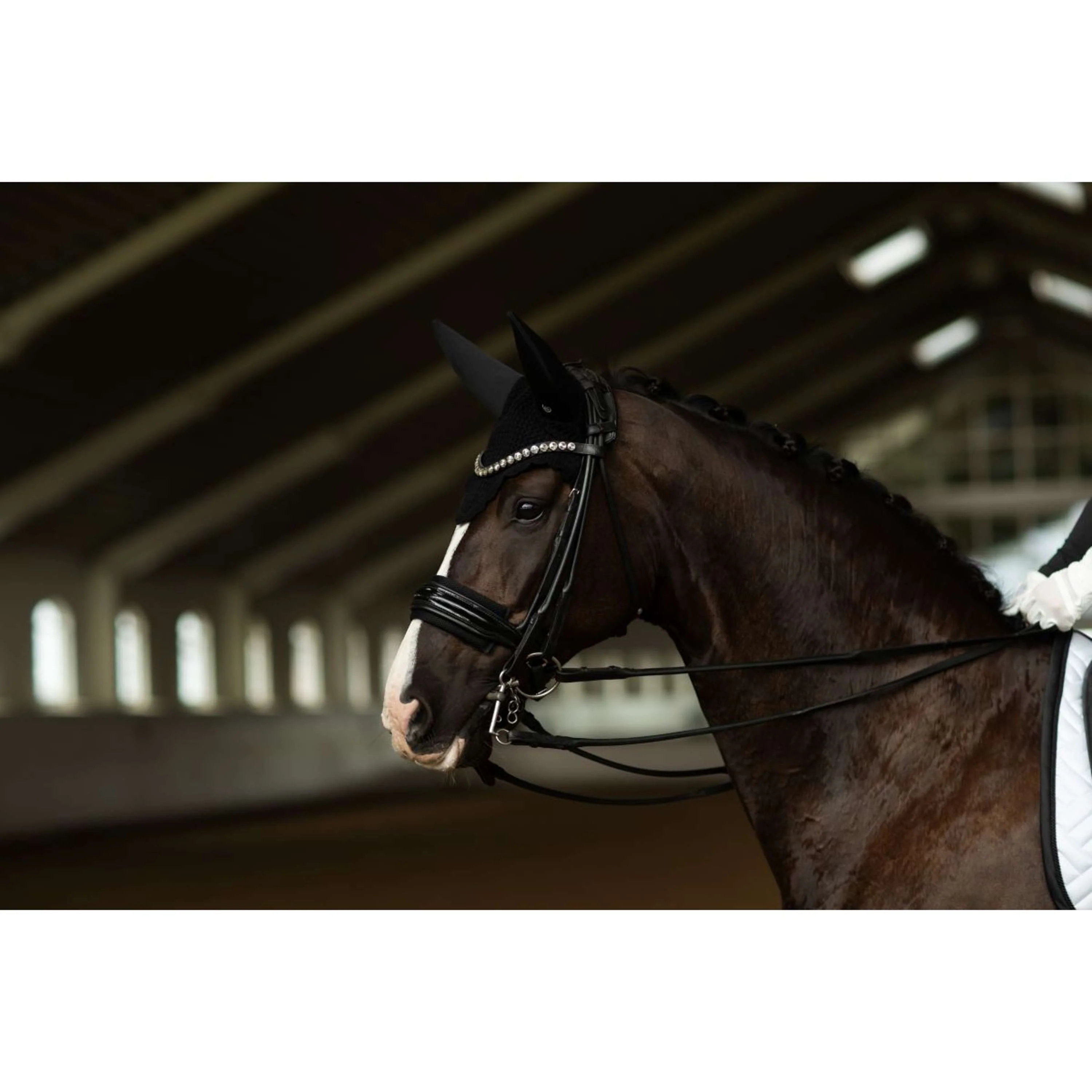 Equestrian Stockholm Cuffietta Padded Clean Black - Image 3