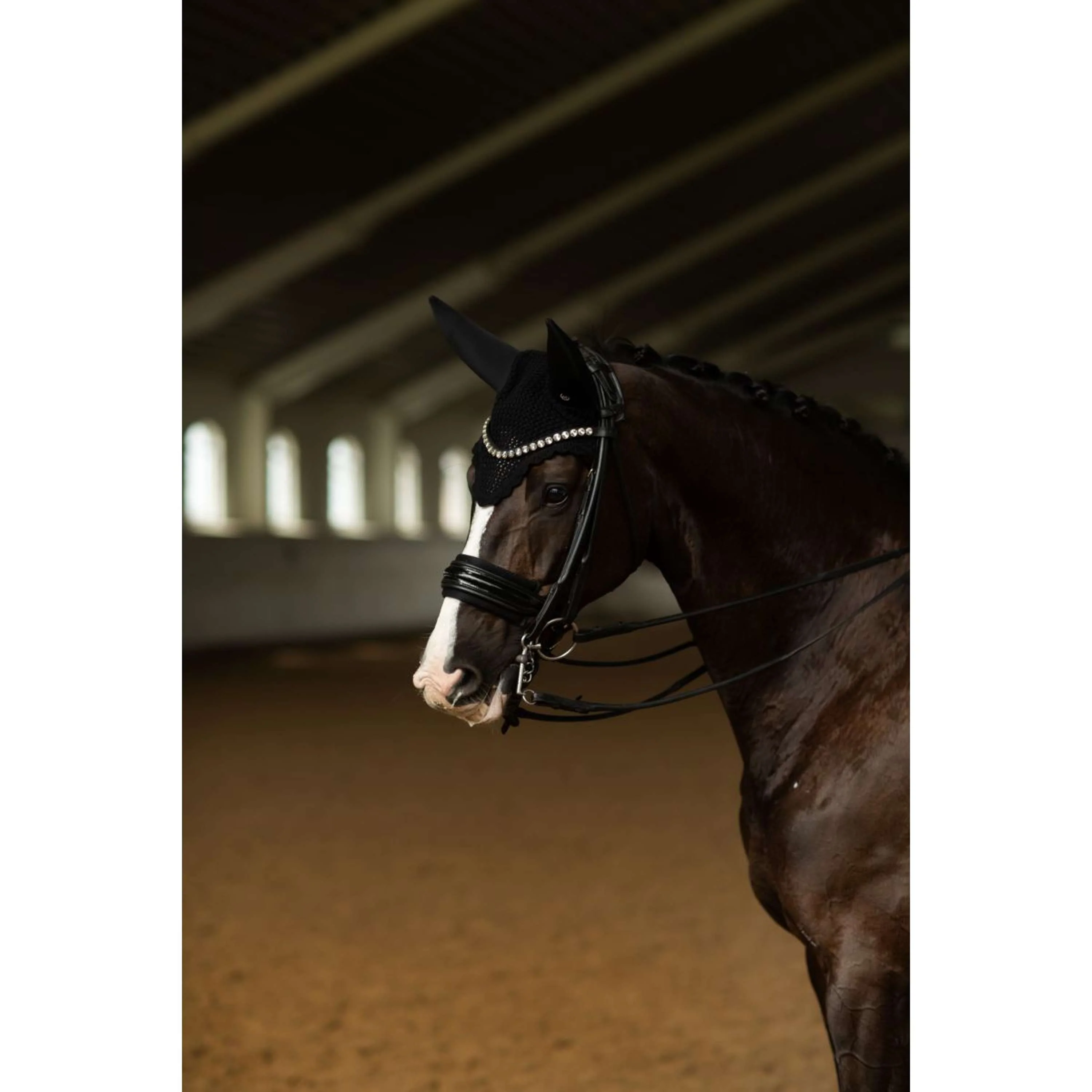 Equestrian Stockholm Cuffietta Padded Clean Black - Image 4