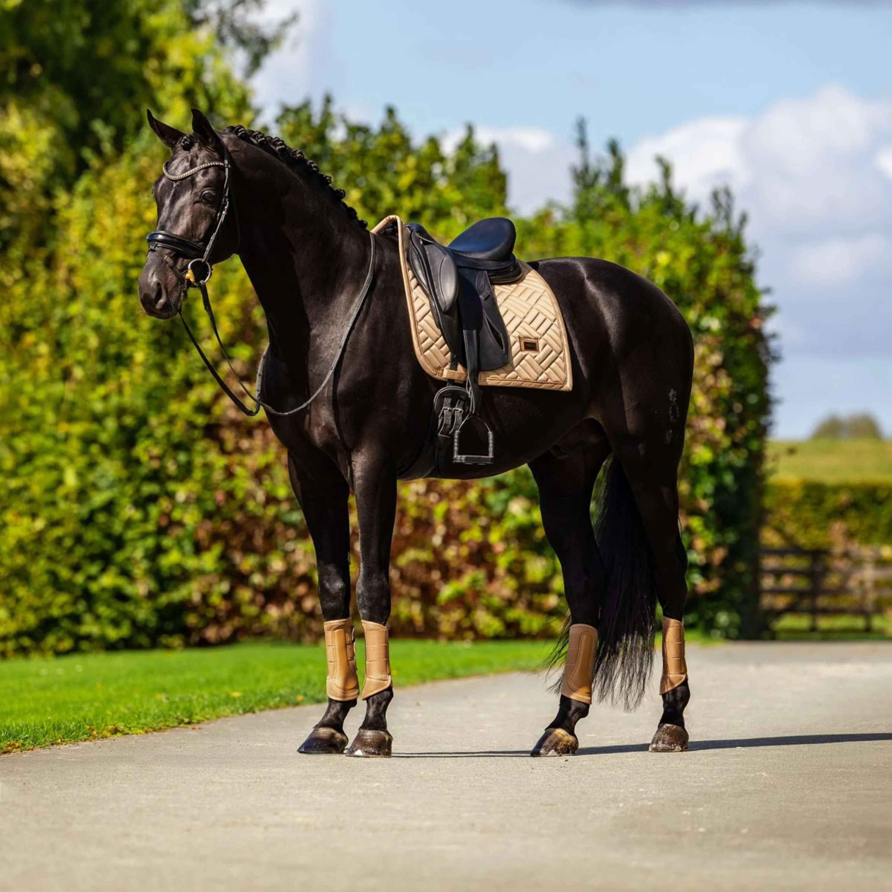 Equestrian Stockholm Sottosella Modern Dressage Midsummer Glow - Image 3