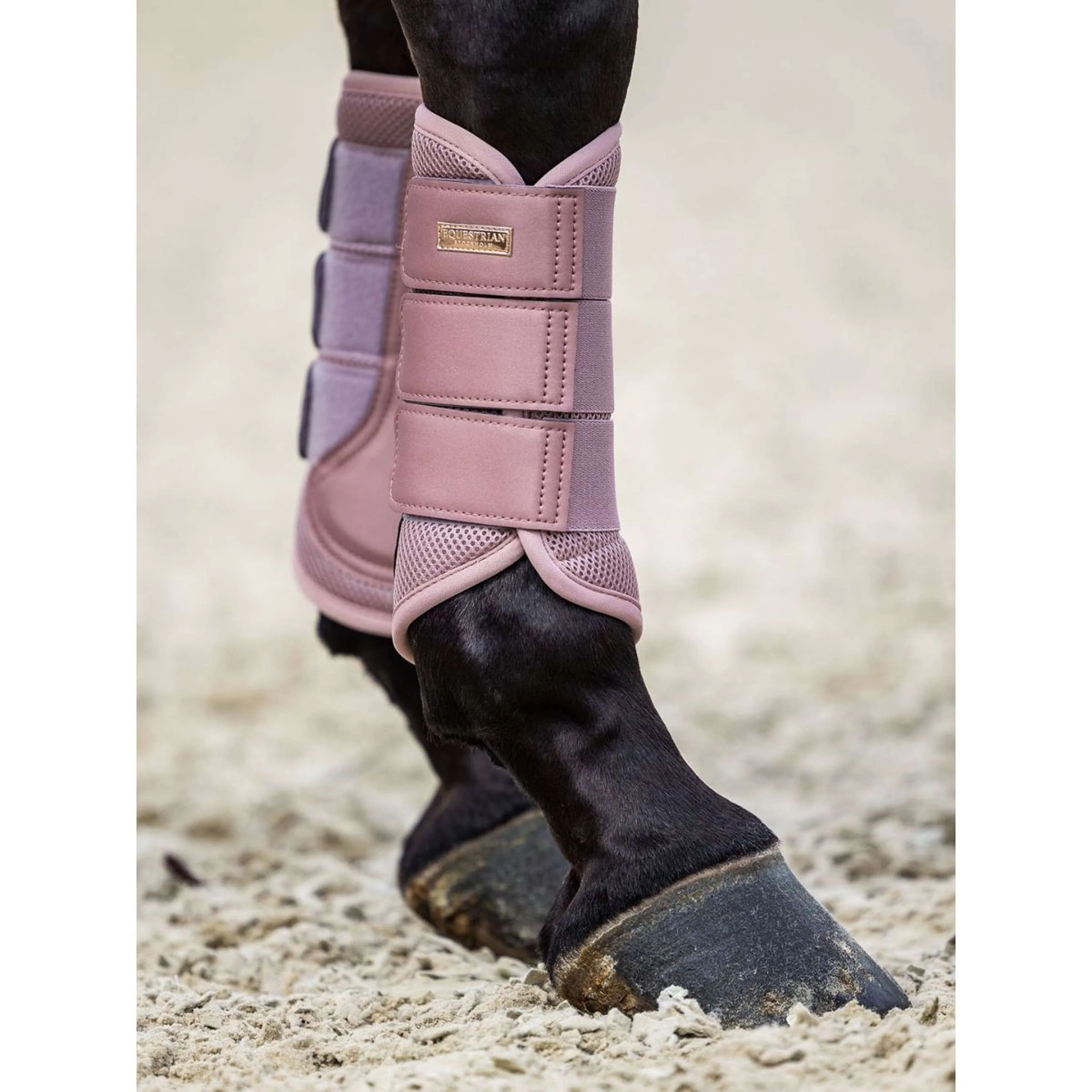 Equestrian Stockholm Parastinchi Classic Mesh Rosa - Image 2