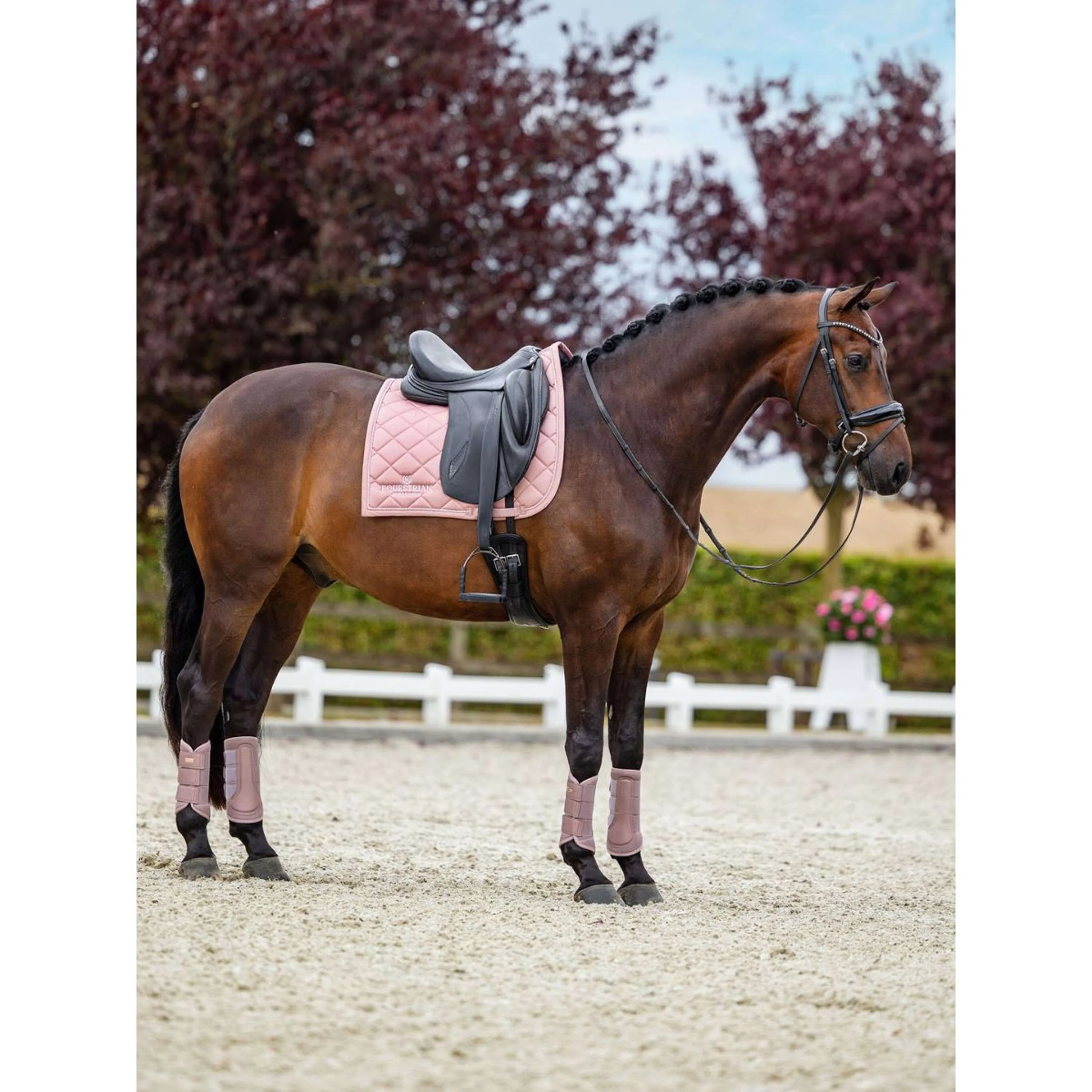 Equestrian Stockholm Parastinchi Classic Mesh Rosa - Image 4