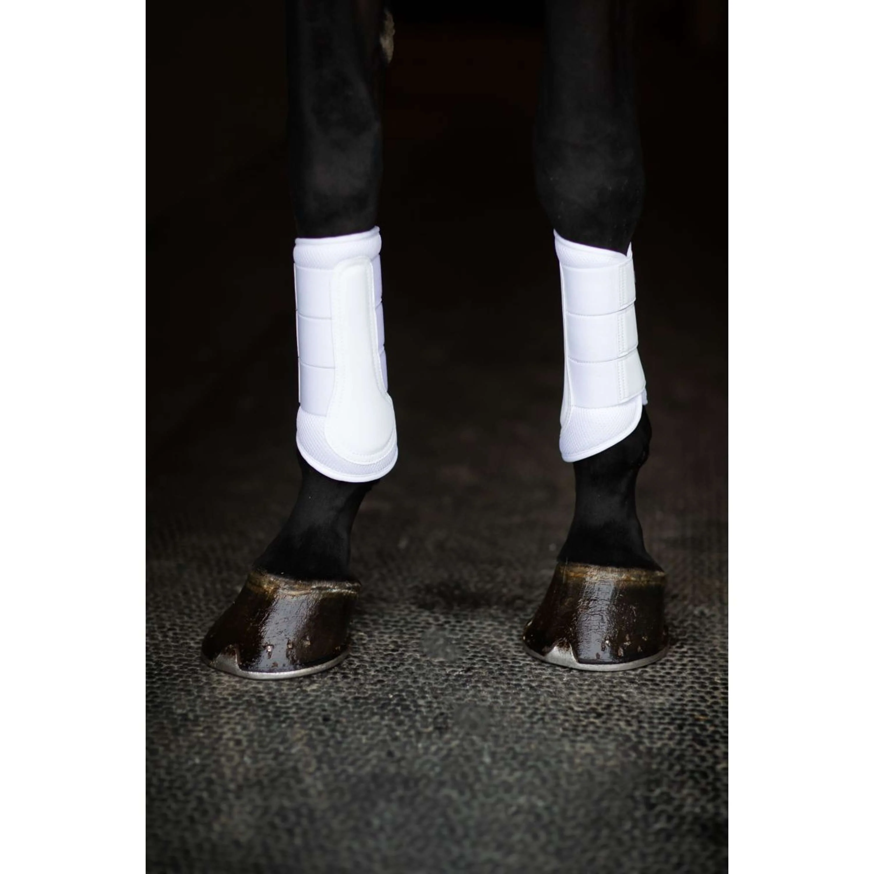 Equestrian Stockholm Parastinchi Classic Mesh White Silver - Image 7