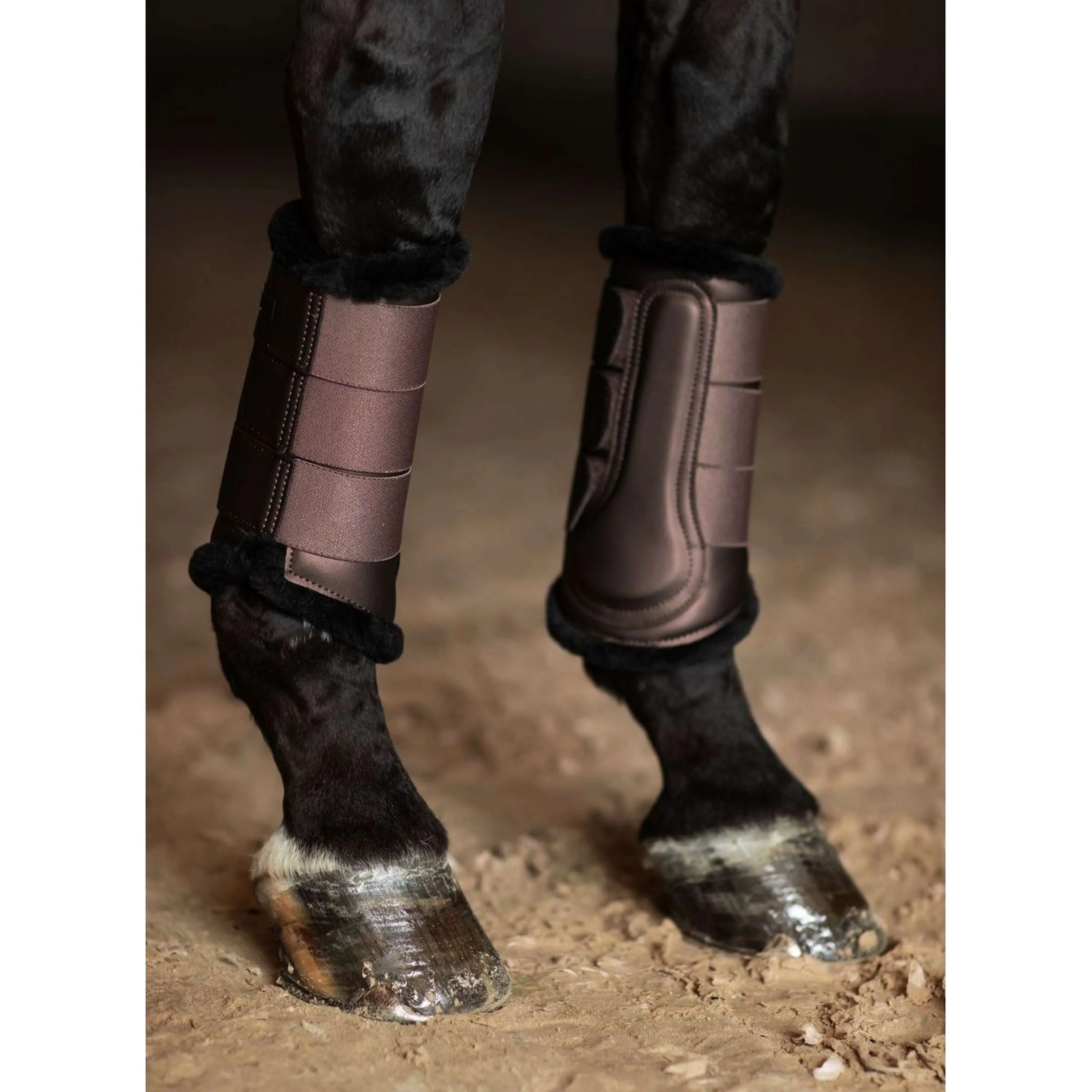 Equestrian Stockholm Parastinchi Moka - Image 4