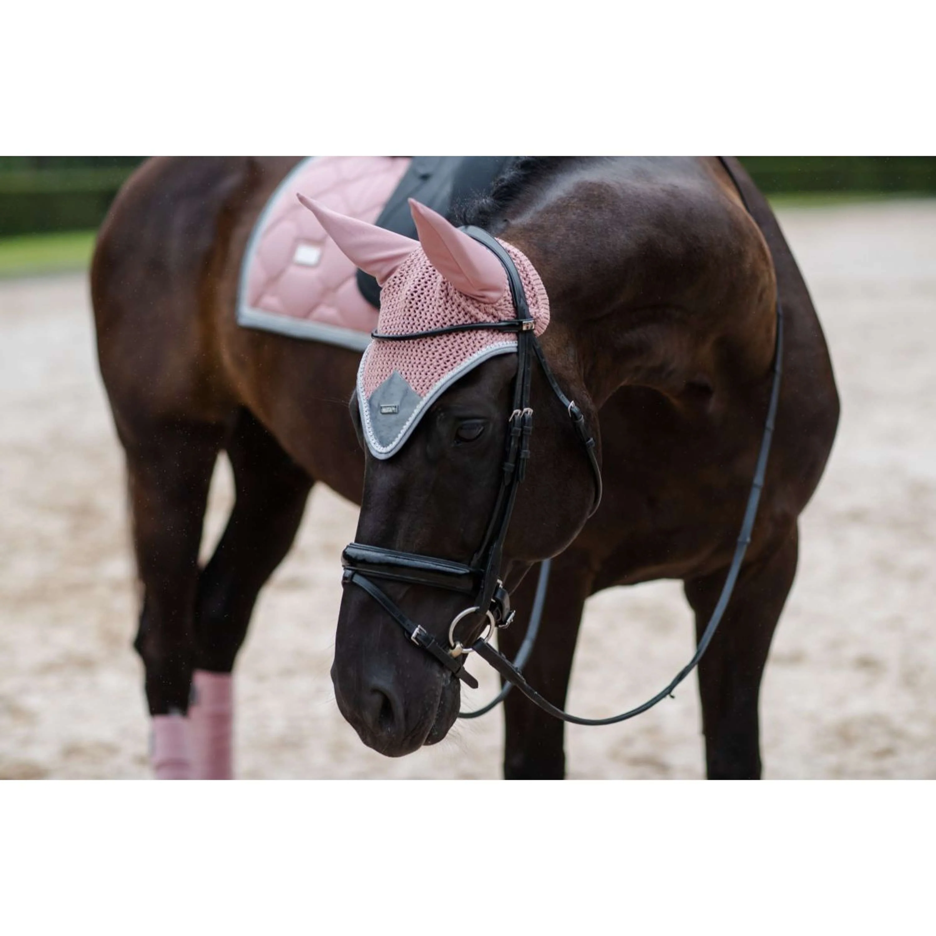Equestrian Stockholm Sottosella Dressage Pink Pearl - Image 7