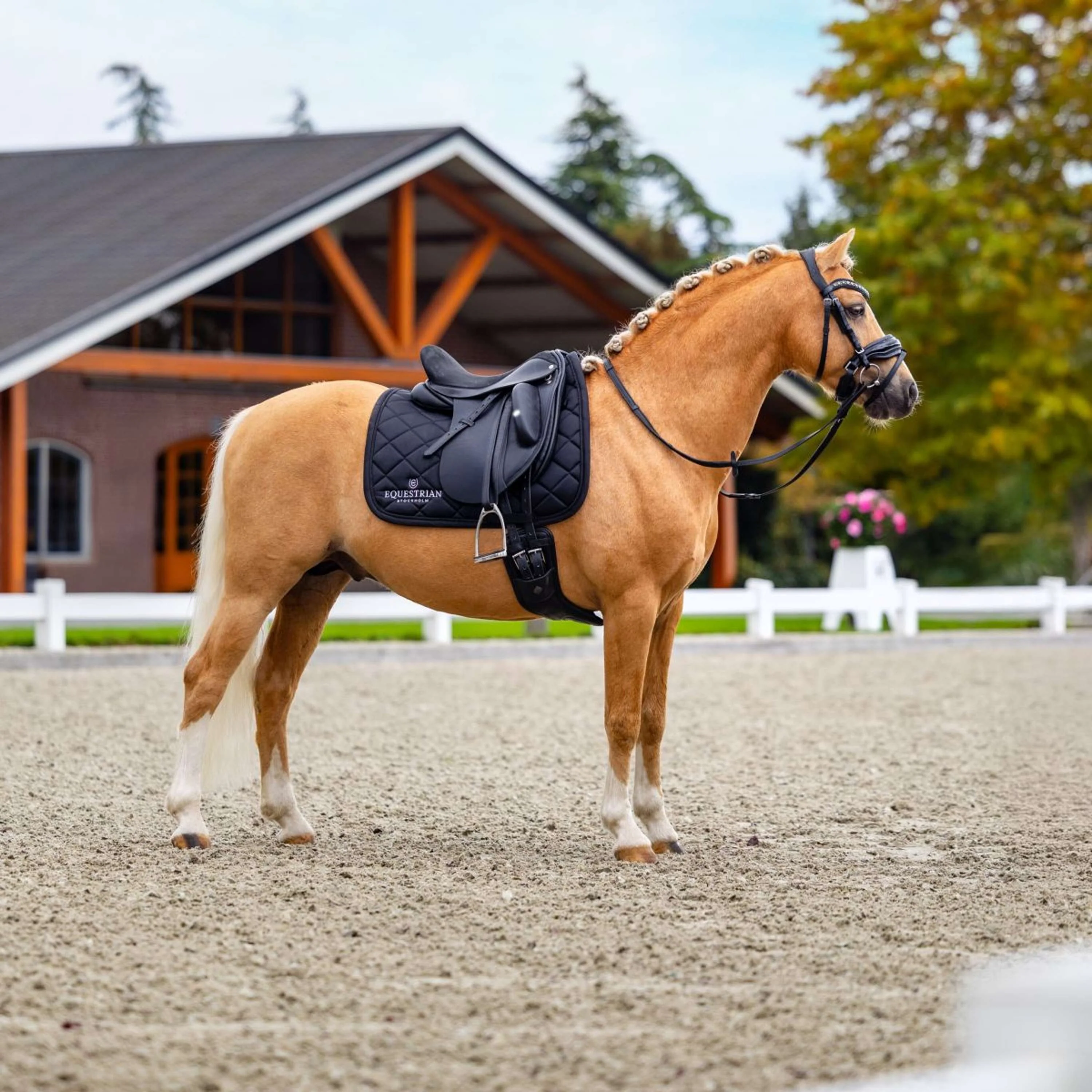 Equestrian Stockholm Sottosella Line Dressage Nero - Image 4