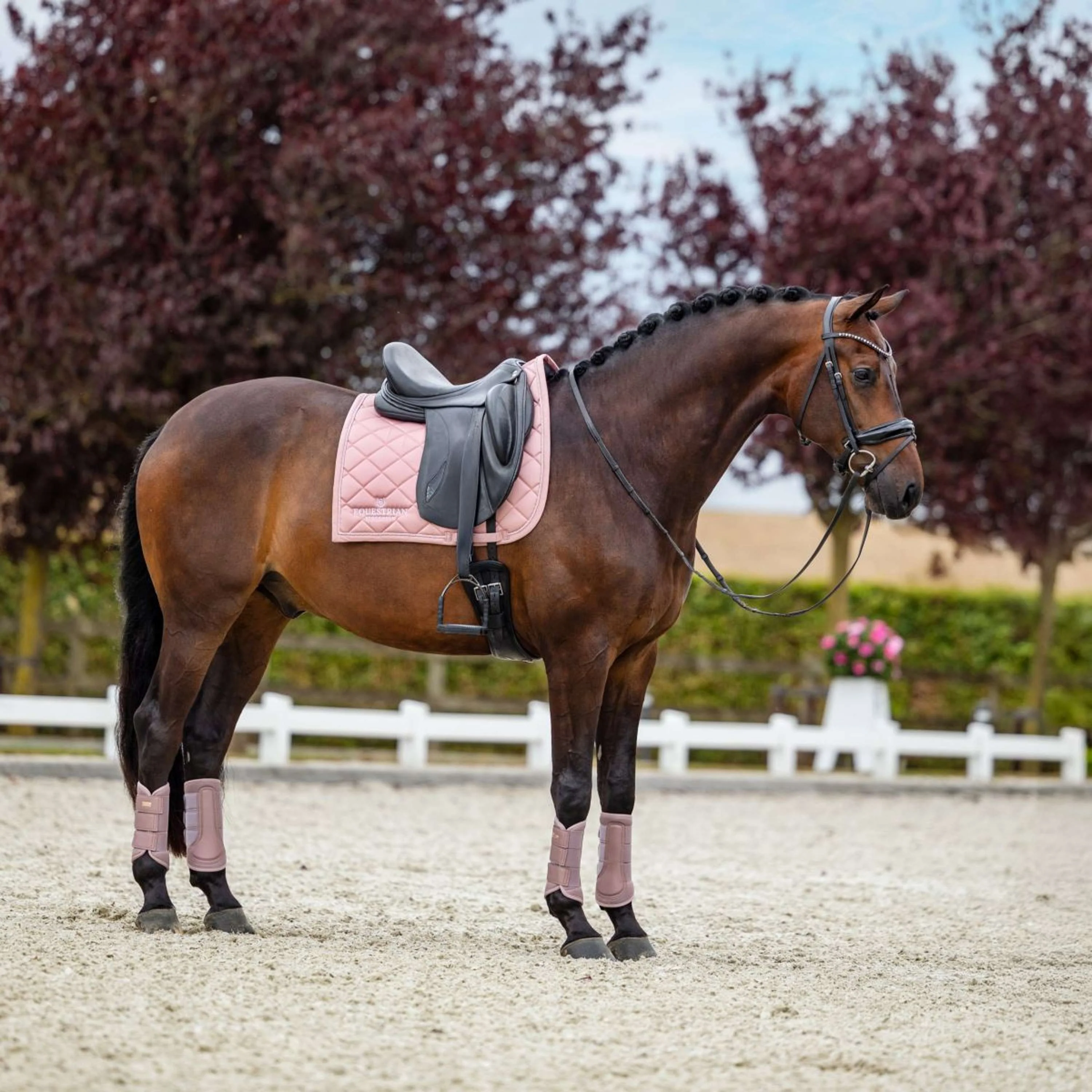 Equestrian Stockholm Sottosella Line Dressage Rosa - Image 3