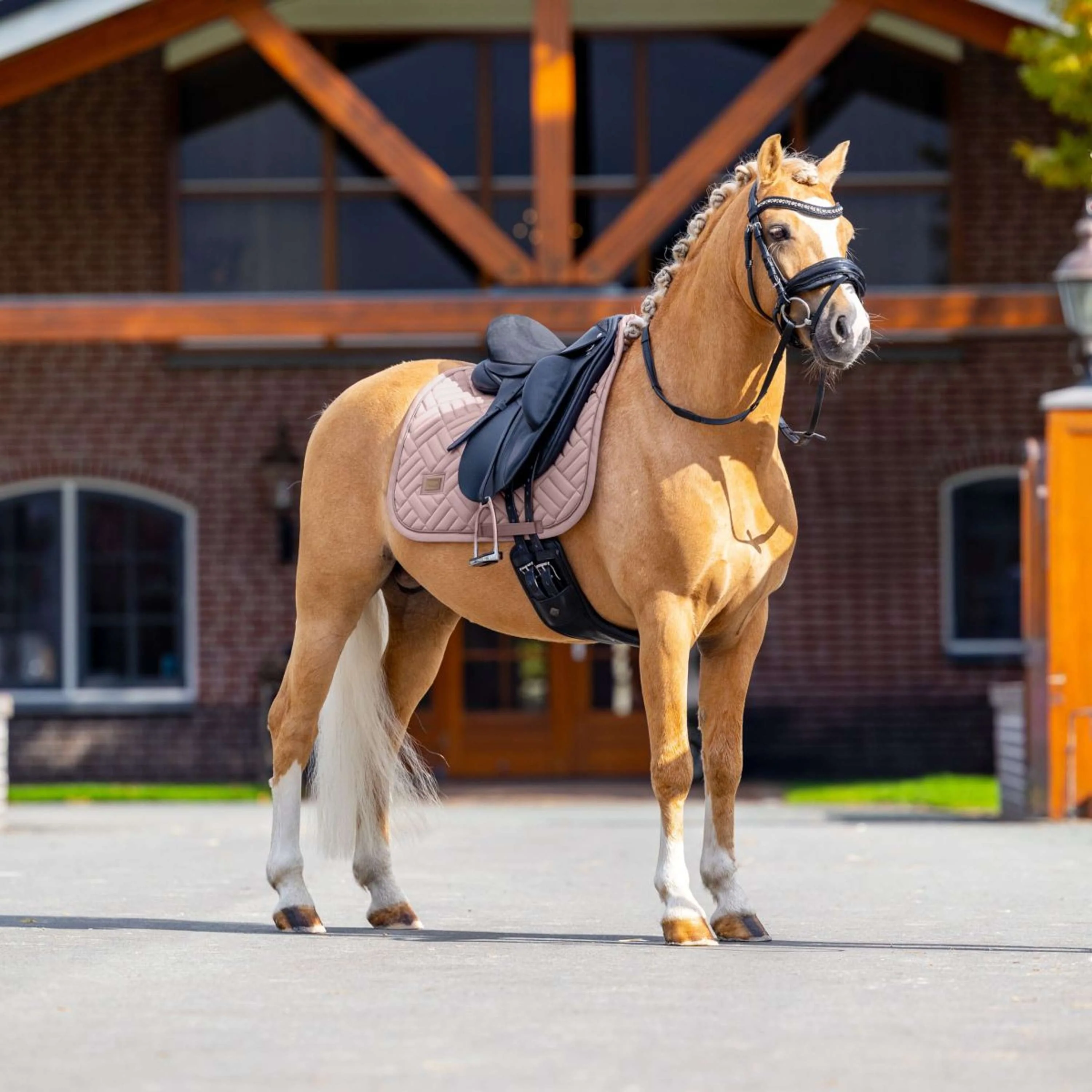 Equestrian Stockholm Sottosella Modern Dressage Midsummer Blush - Image 4
