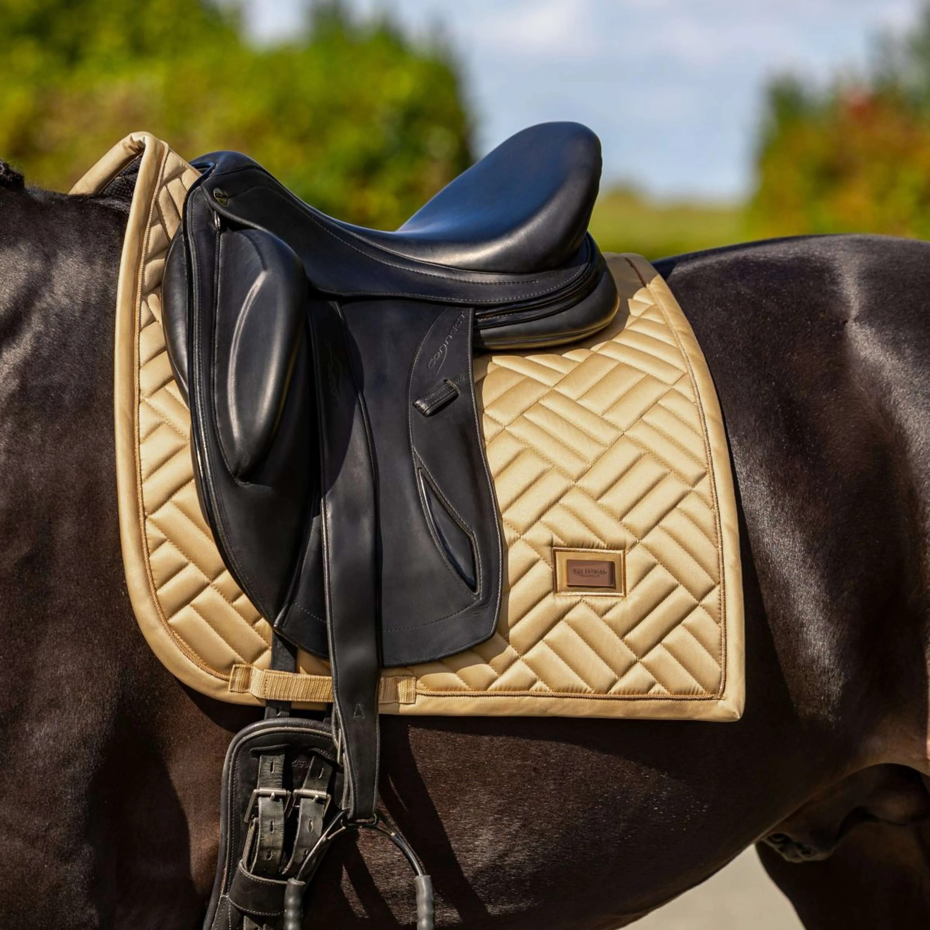 Equestrian Stockholm Sottosella Modern Dressage Midsummer Glow - Image 2