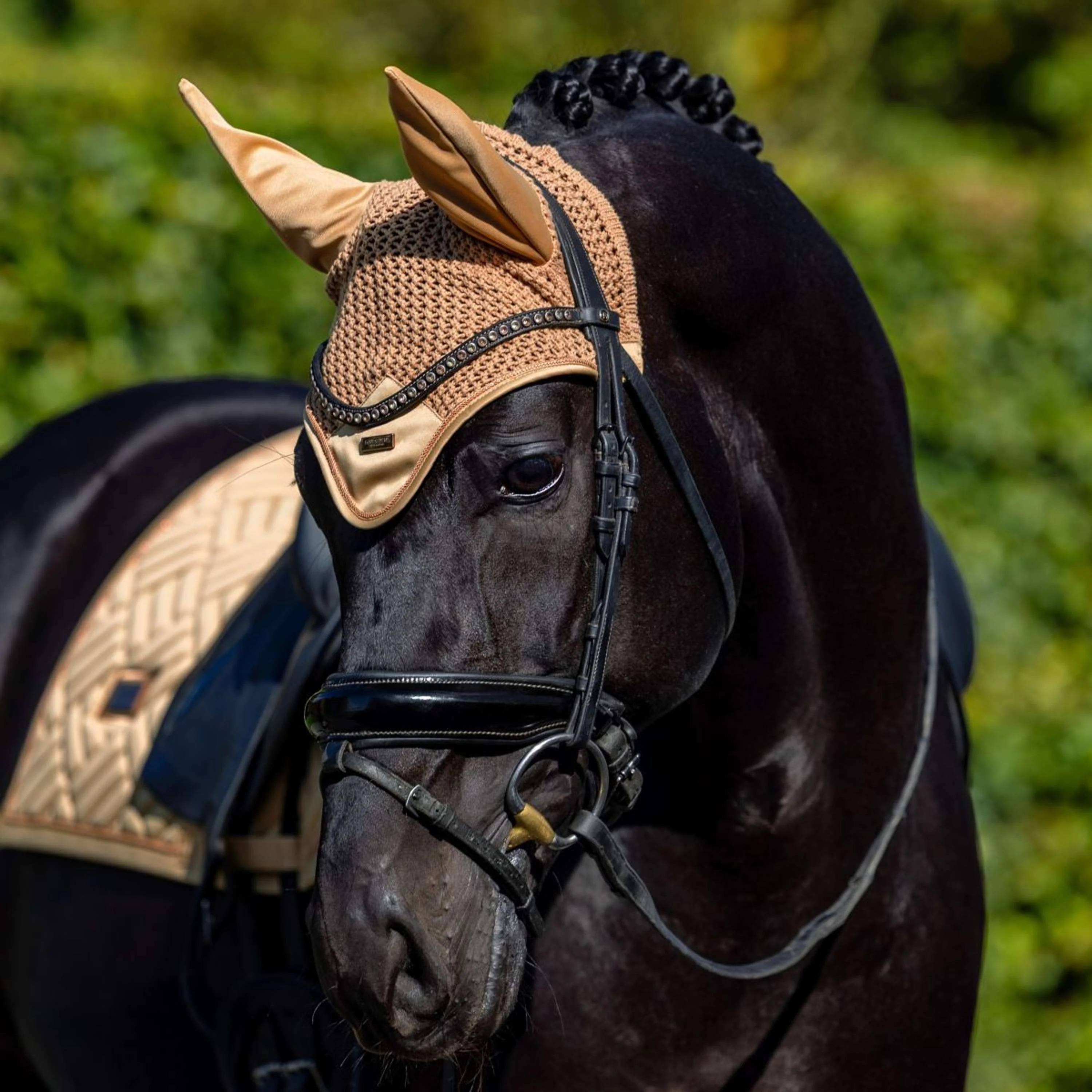 Equestrian Stockholm Sottosella Modern Dressage Midsummer Glow - Image 4