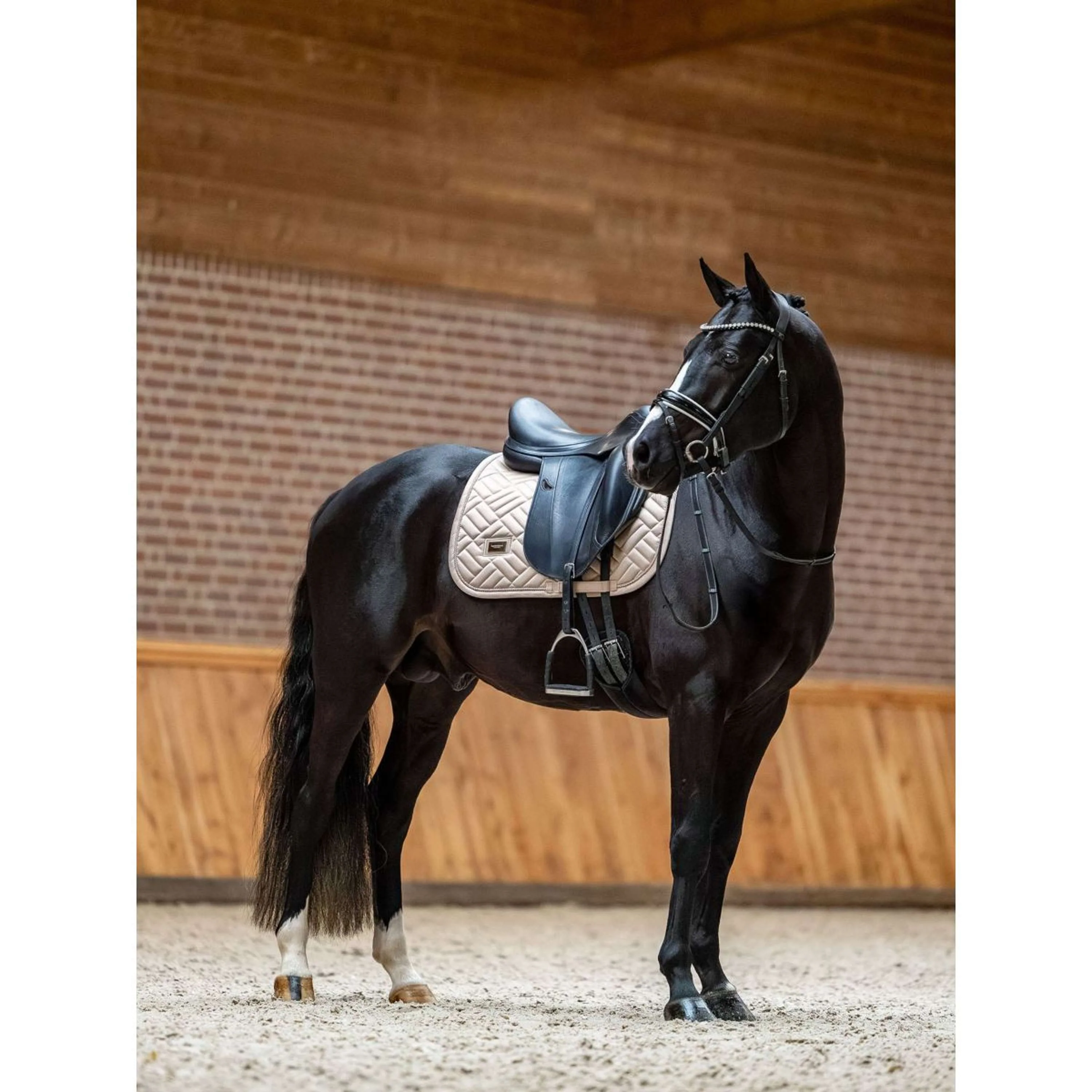 Equestrian Stockholm Sottosella Modern saltando Sand - Image 4