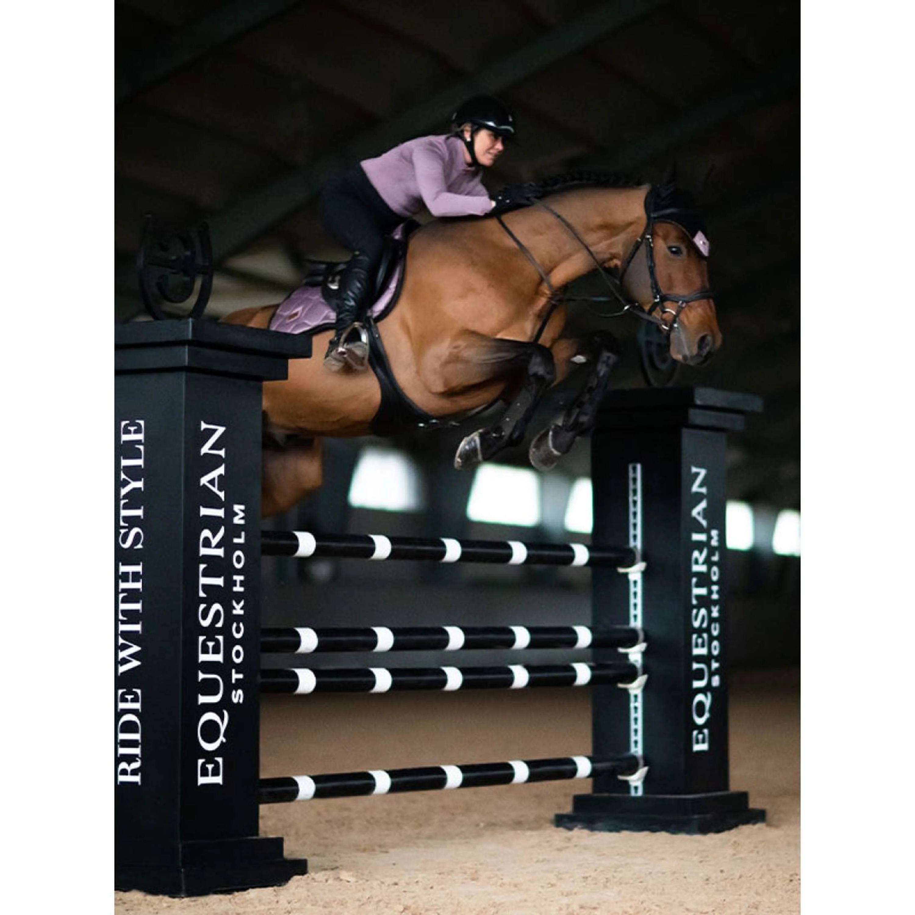 Equestrian Stockholm Sottosella saltando Anemone - Image 3