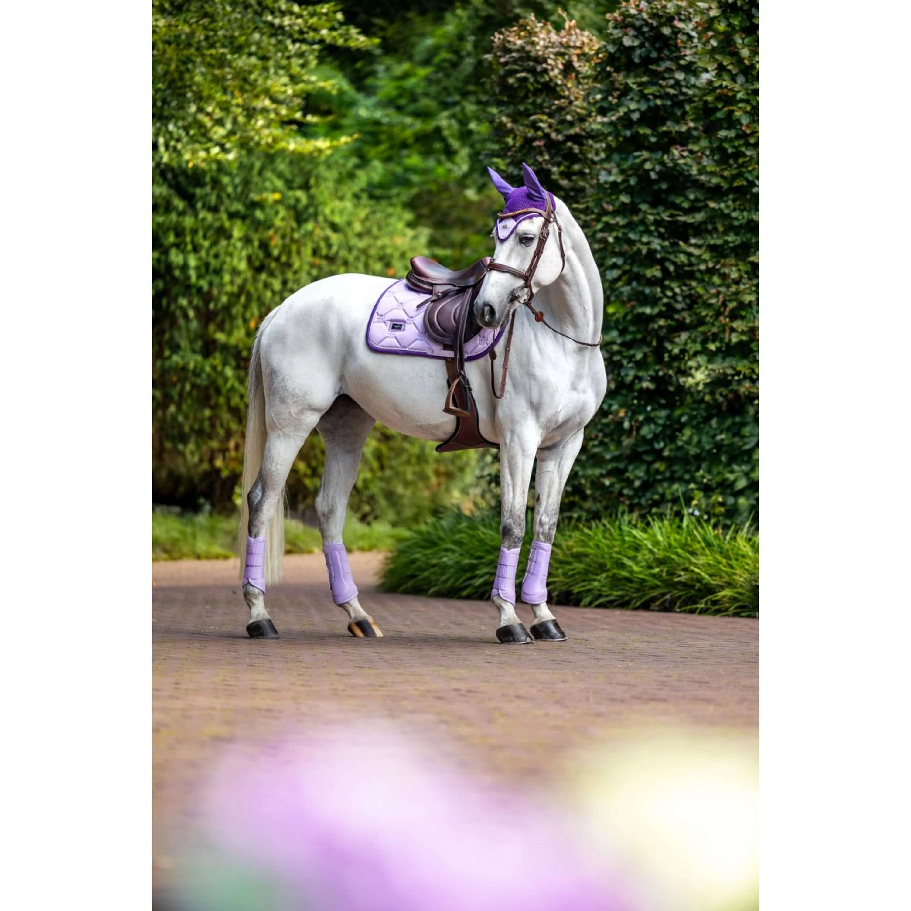 Equestrian Stockholm Sottosella saltando Lavanda - Image 3