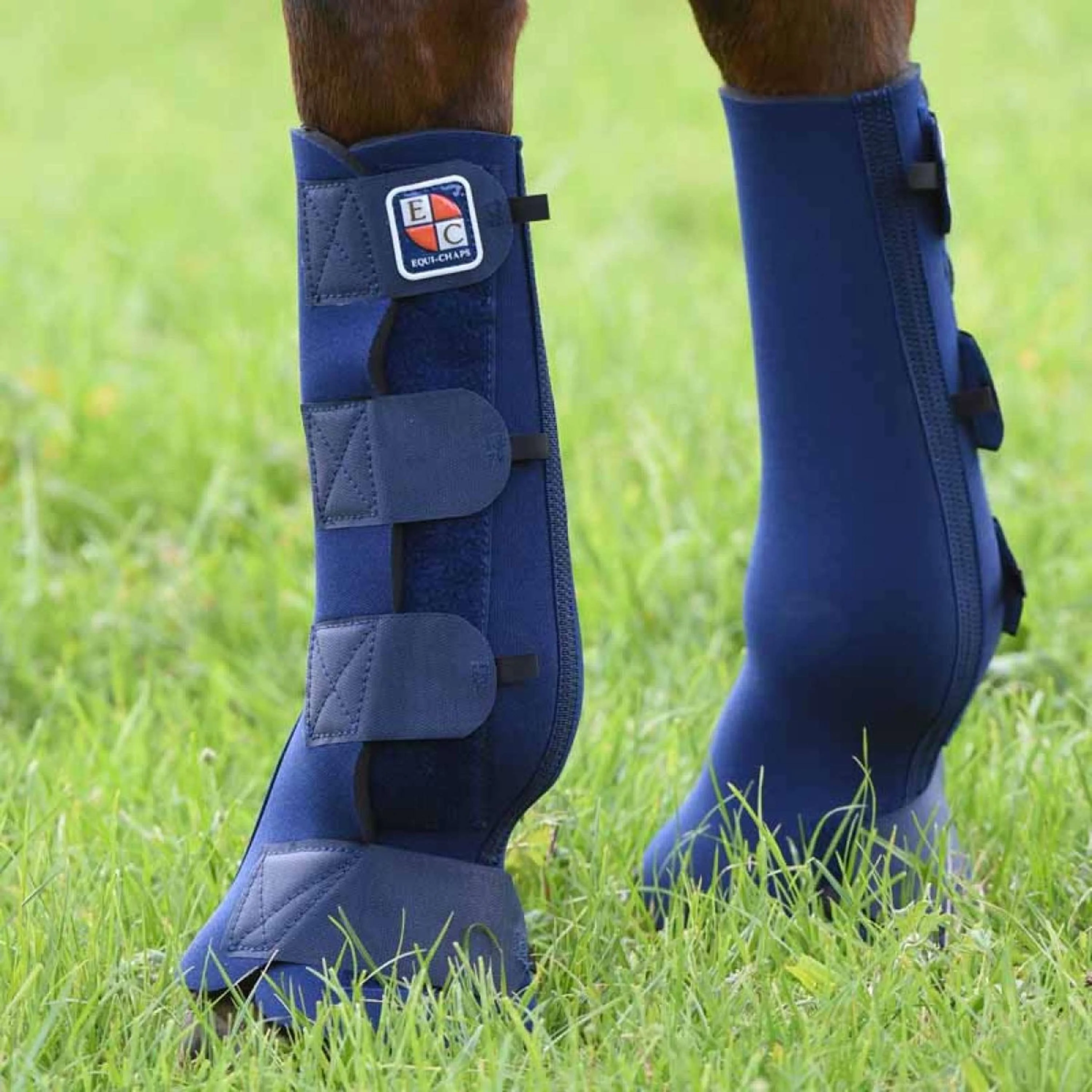 Equilibrium Parastinchi Equi-Chaps Hardy Navy - Image 2