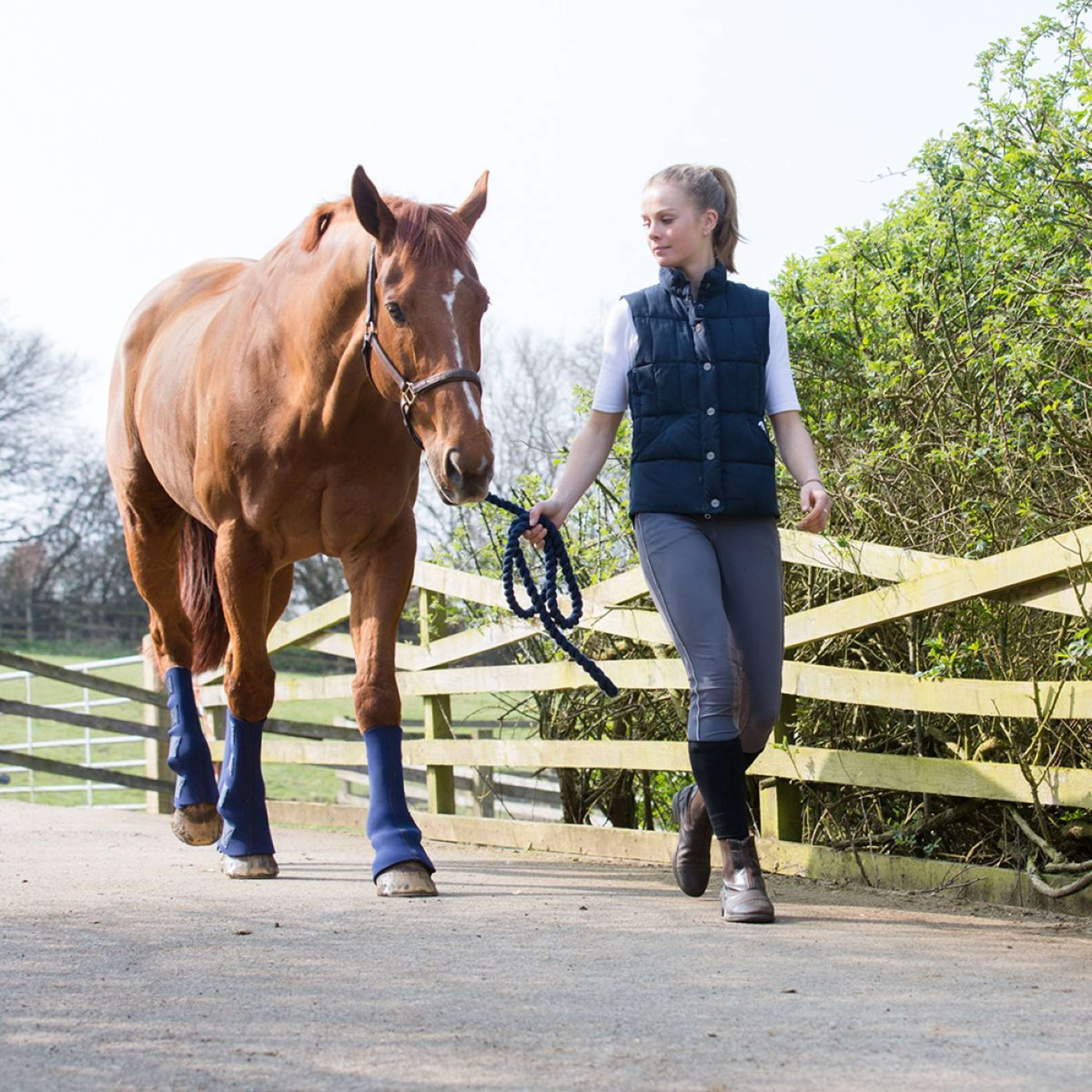 Equilibrium Parastinchi Equi-Chaps Hardy Navy - Image 4