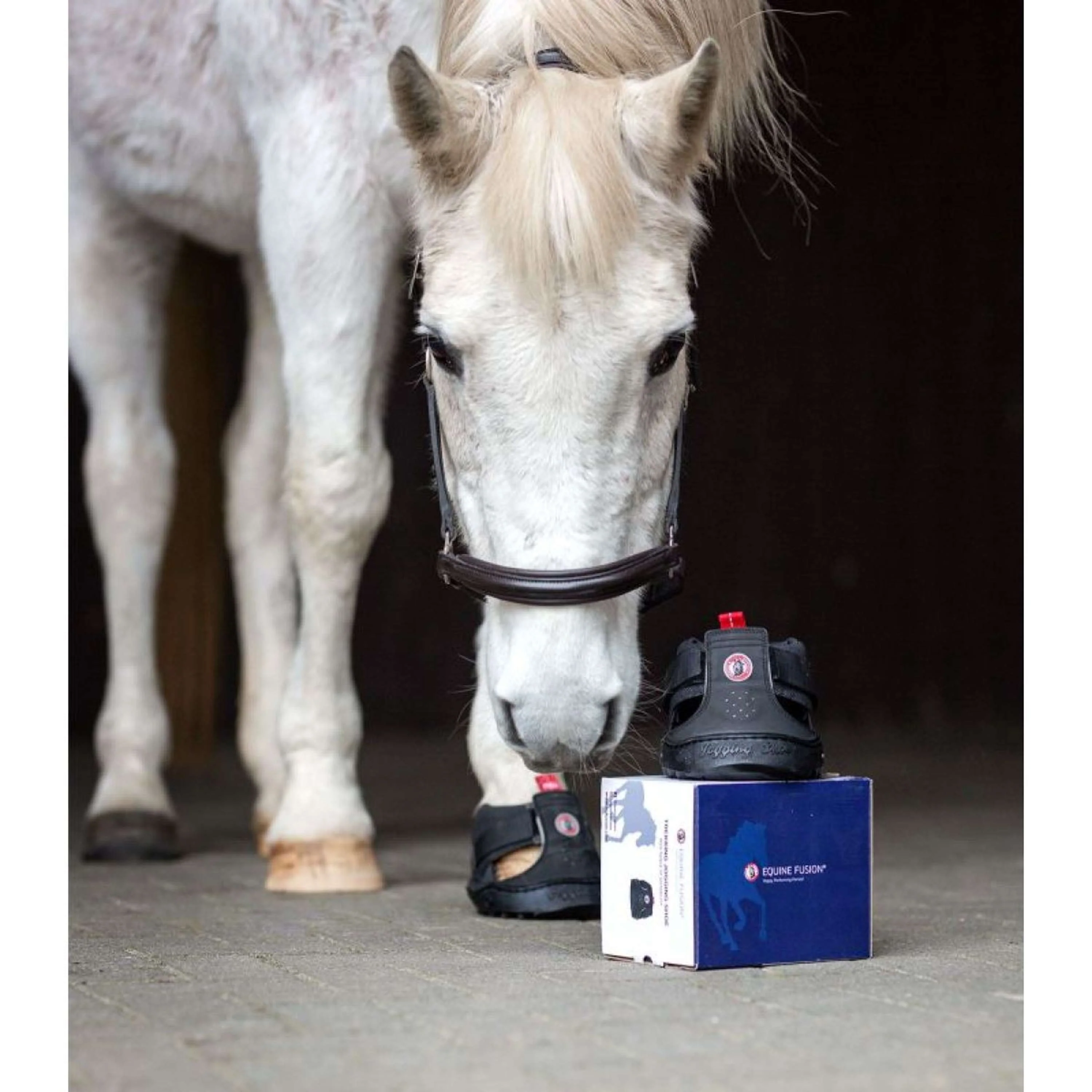 Equine Fusion Ferratura Trekking Nero - Image 5