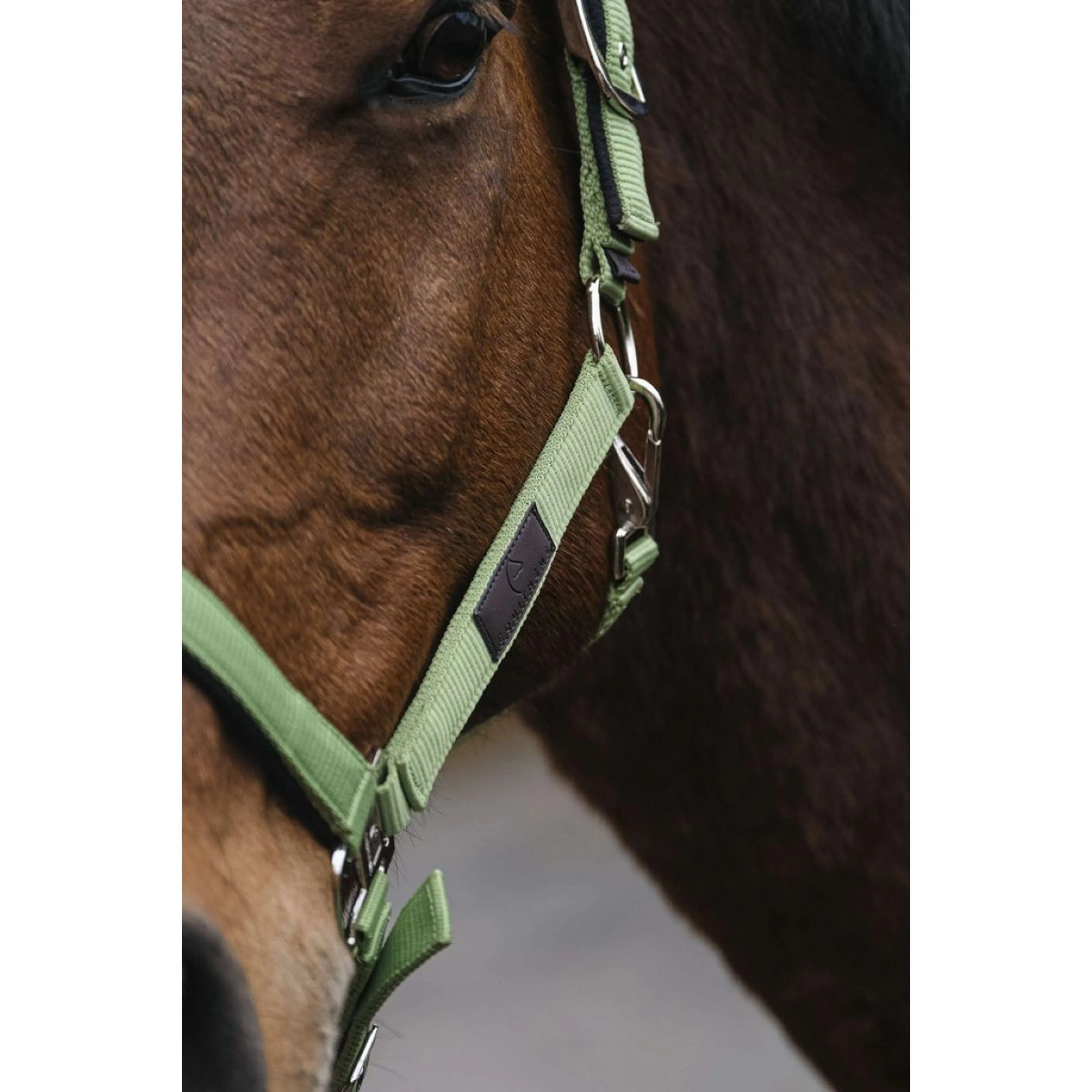 EQUITHÈME Cavezza Spring Nylon Verde chiaro - Image 3