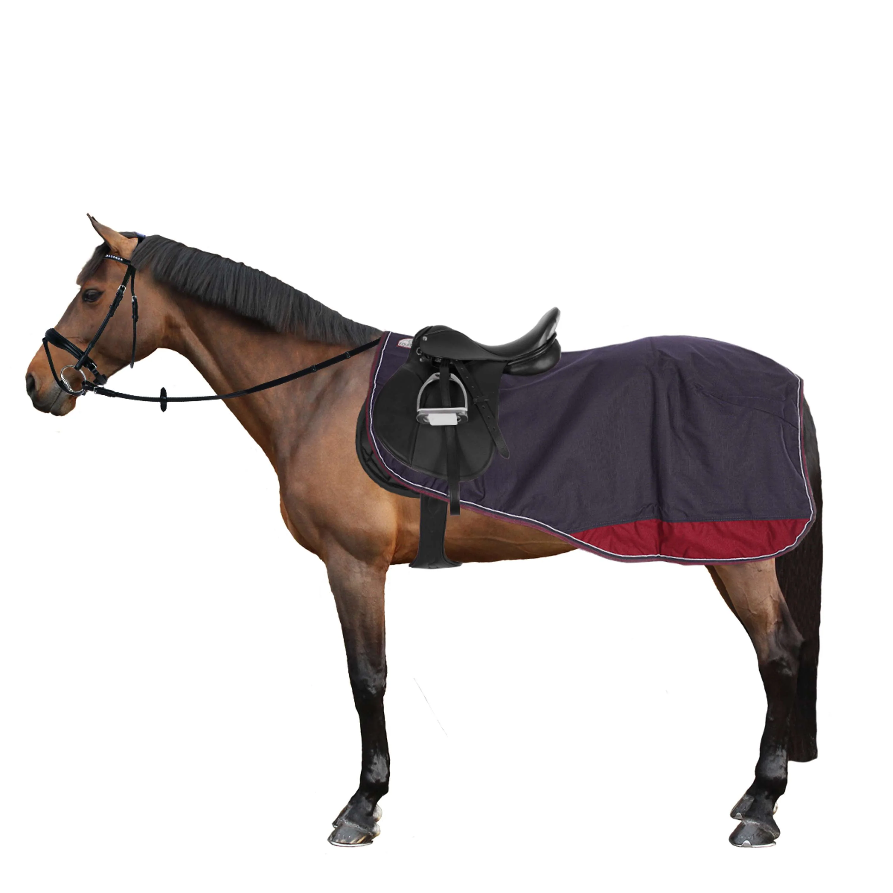 EQUITHÈME Coperta da esercizio Tyrex Pile polare 1200D Navy/Burgundy
